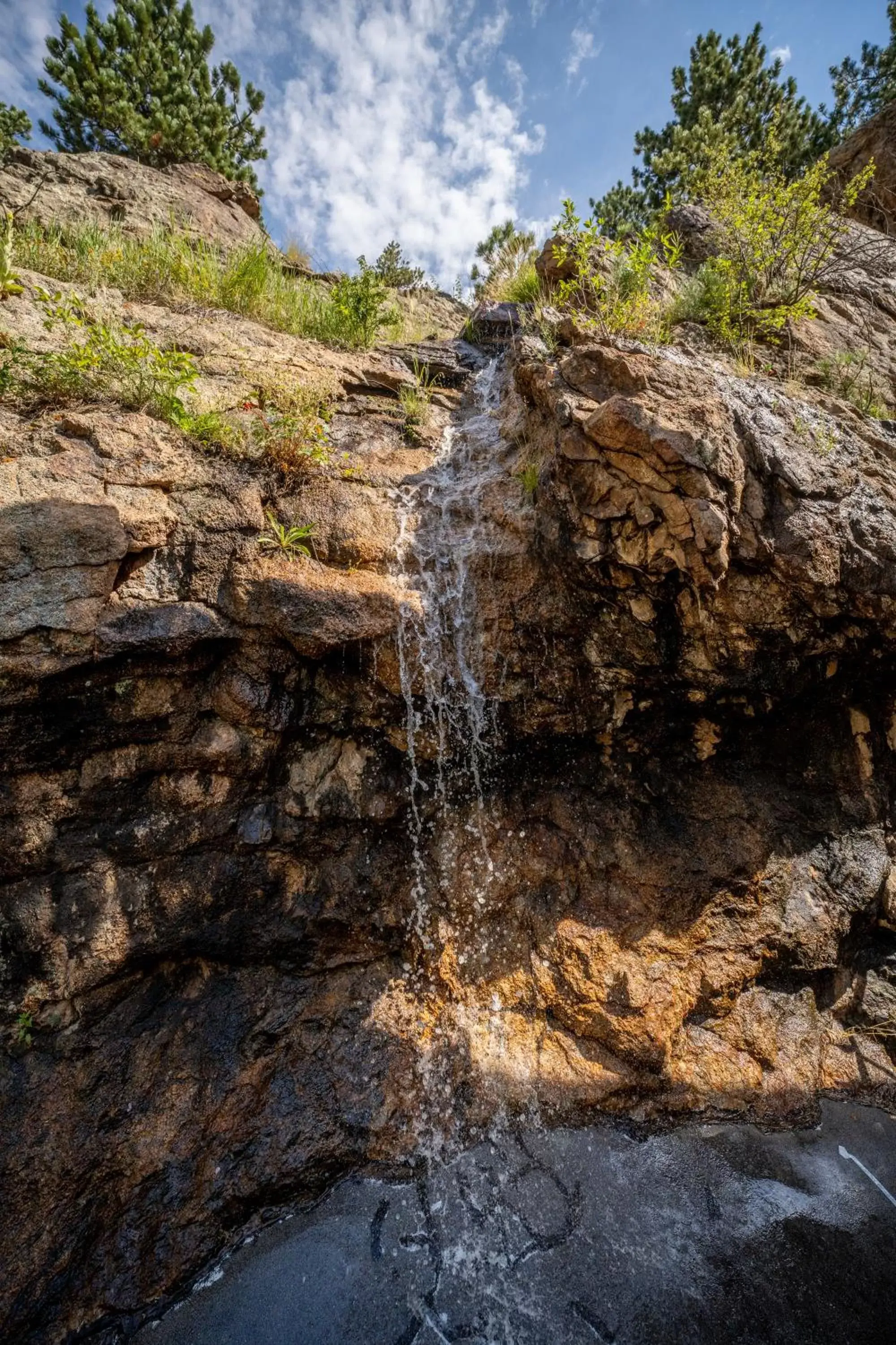 Pool view in Silver Moon Inn Pool view in Silver Moon Inn