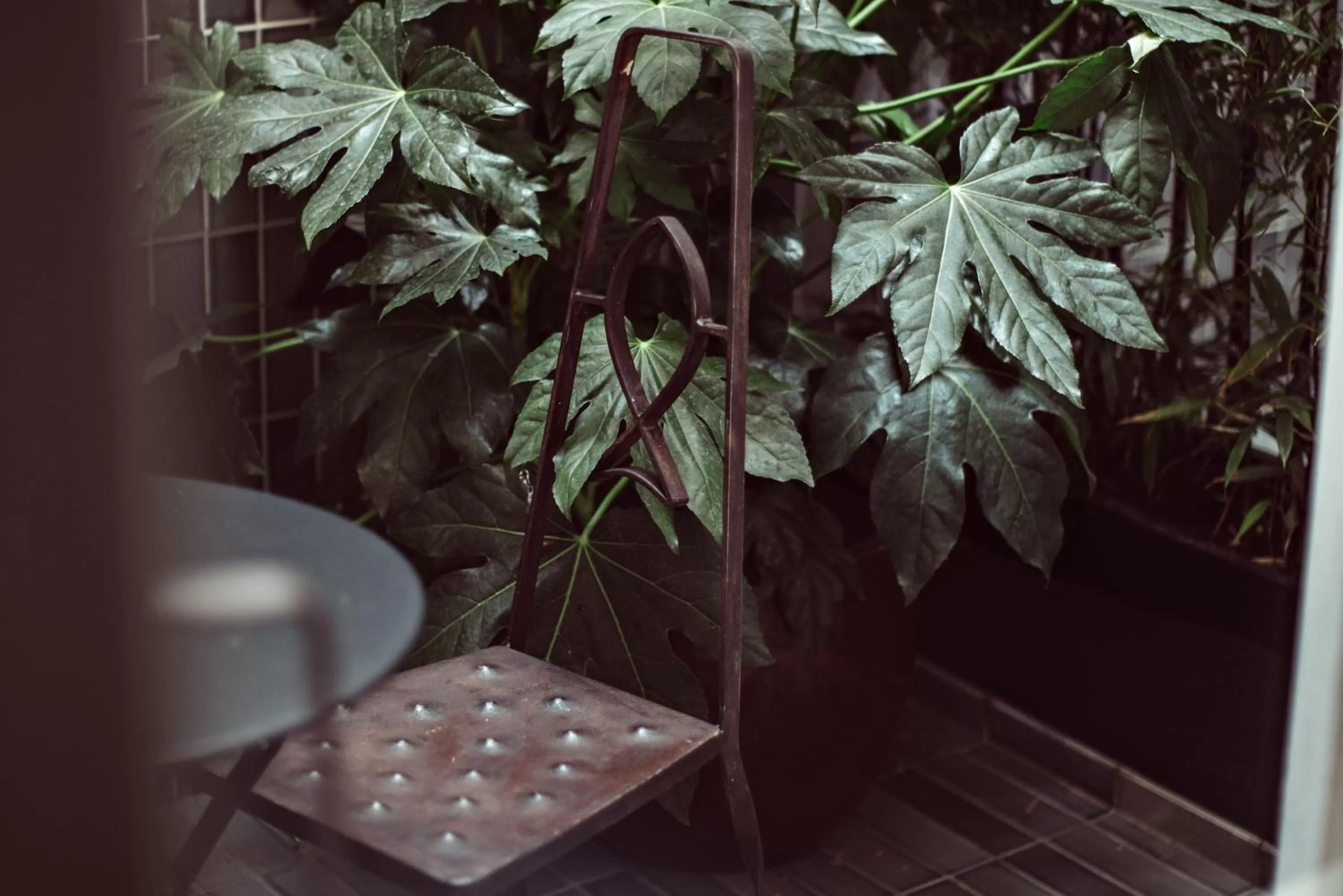 Patio in Hotel des Académies et des Arts