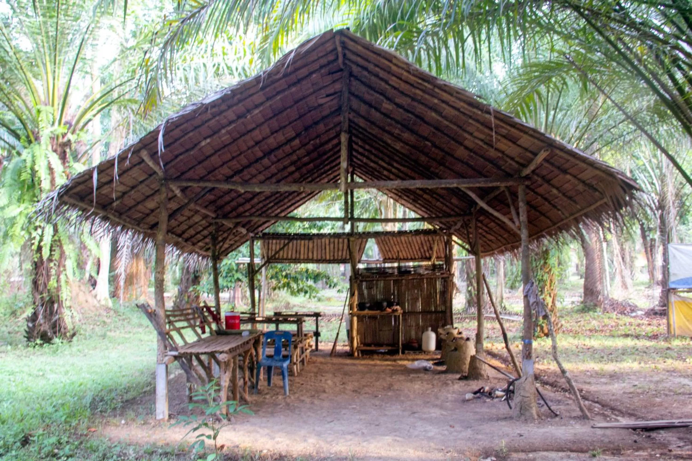 Property building in Khao Sok Palmview Resort