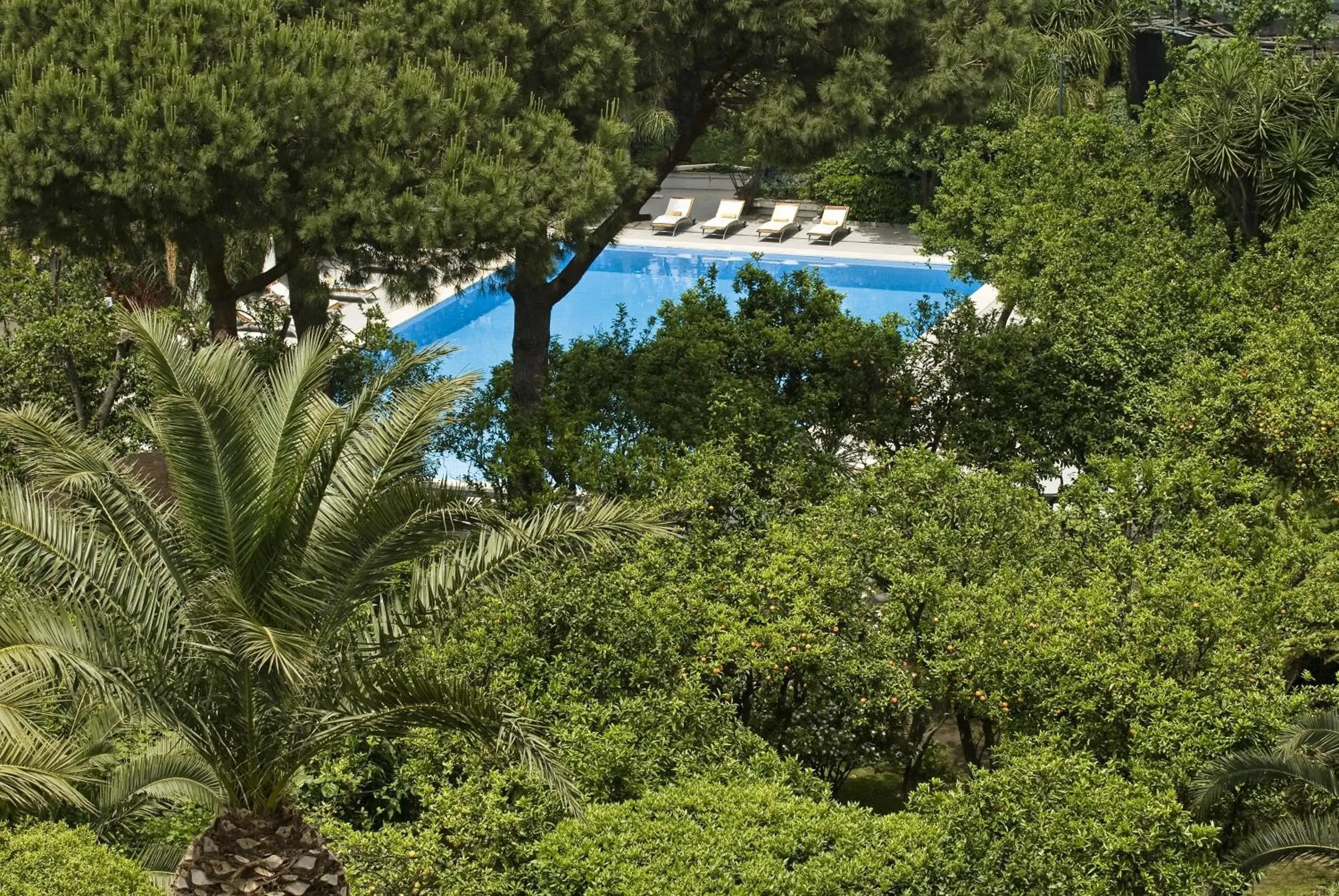 Swimming pool, Pool View in Grand Hotel Cocumella