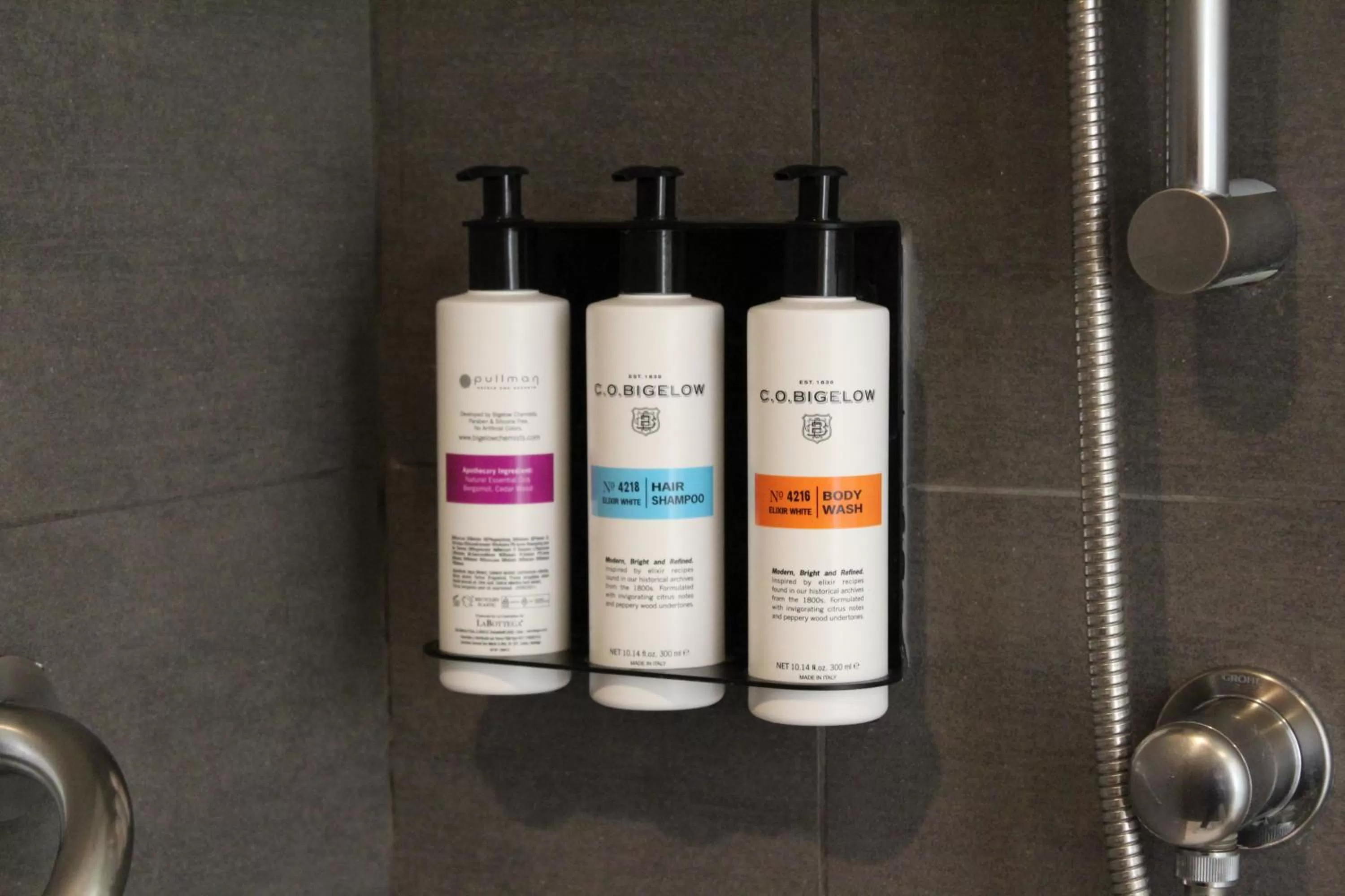 Shower in Pullman Vina del Mar San Martin