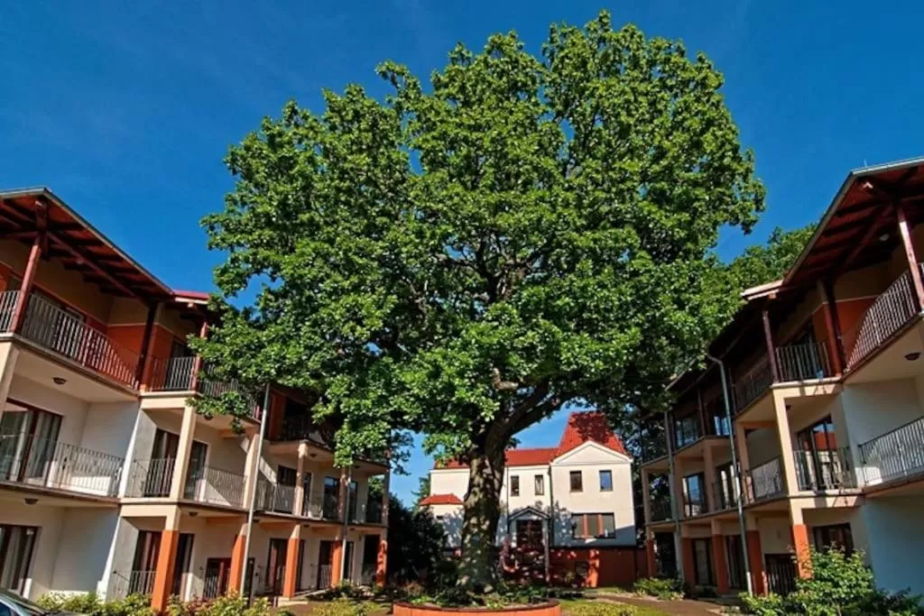Property building in Rezydencja 5 Dębów