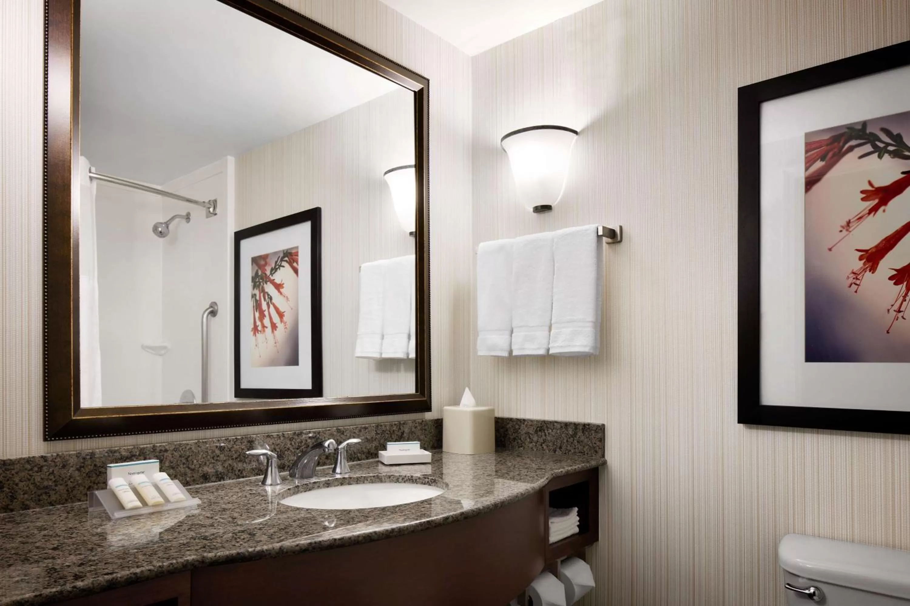Bathroom in Hilton Garden Inn Denver South Park Meadows Area