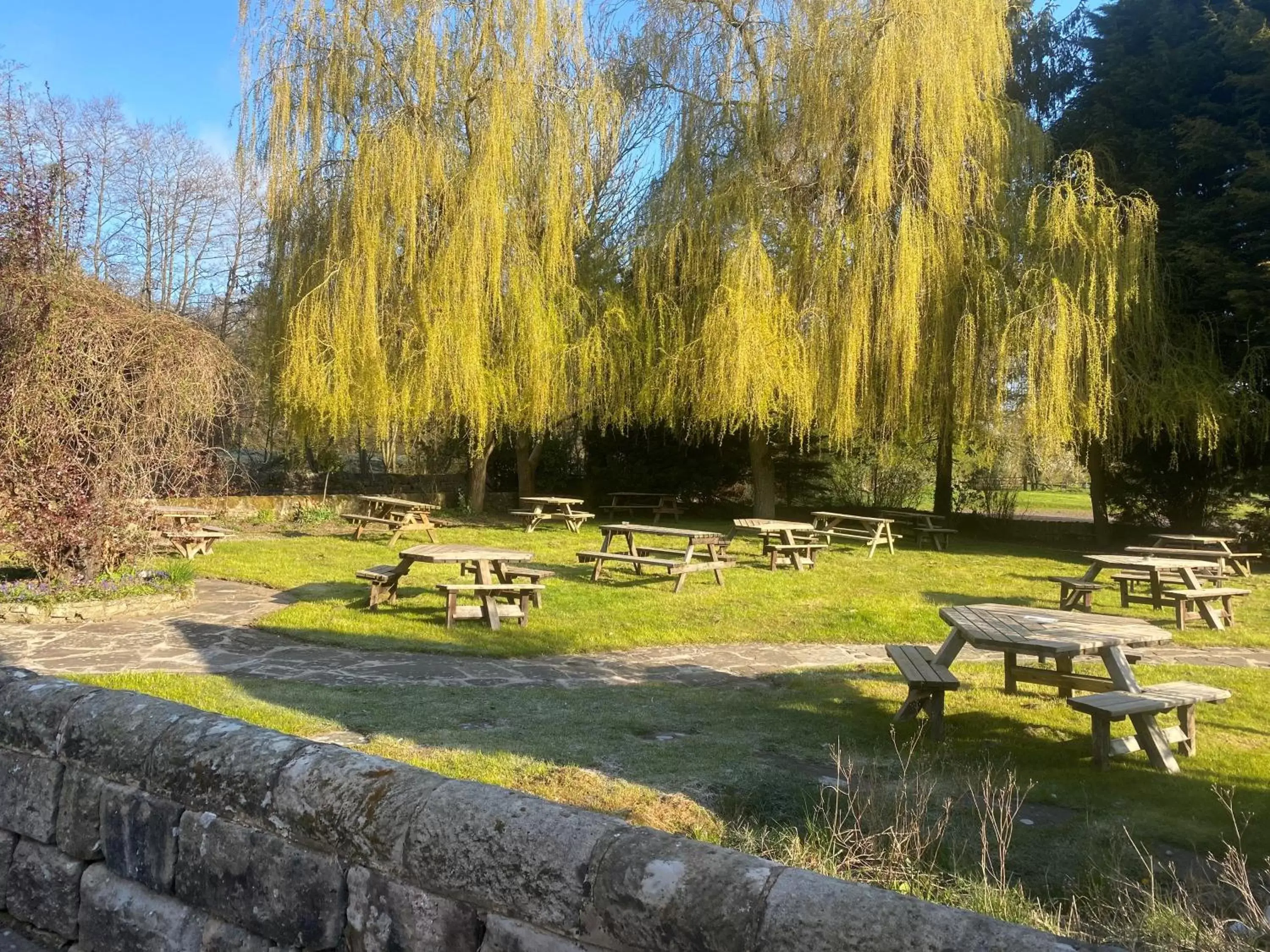 Garden in The Royal Oak