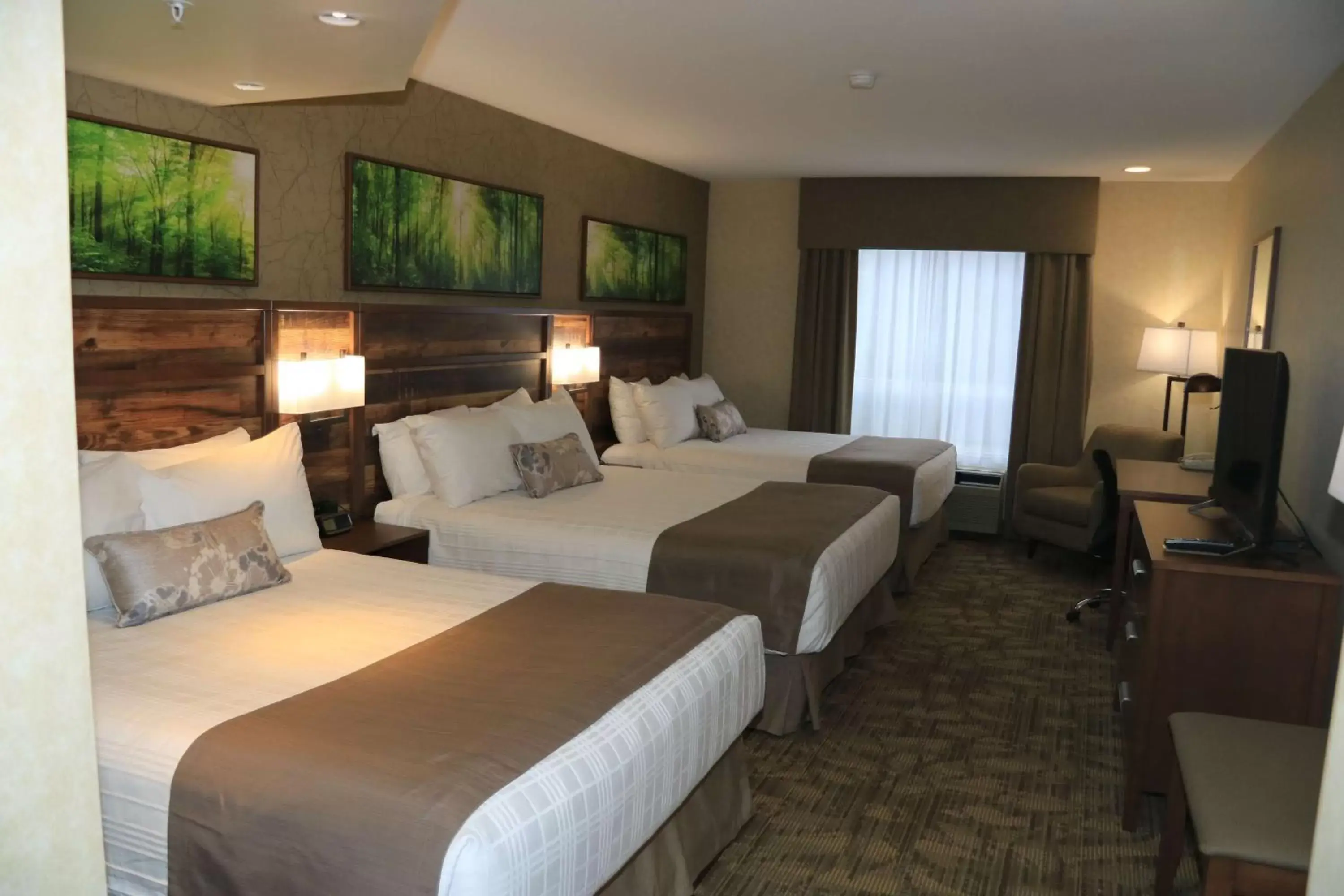 Photo of the whole room, Bed in BEST WESTERN PLUS Valemount Inn & Suites