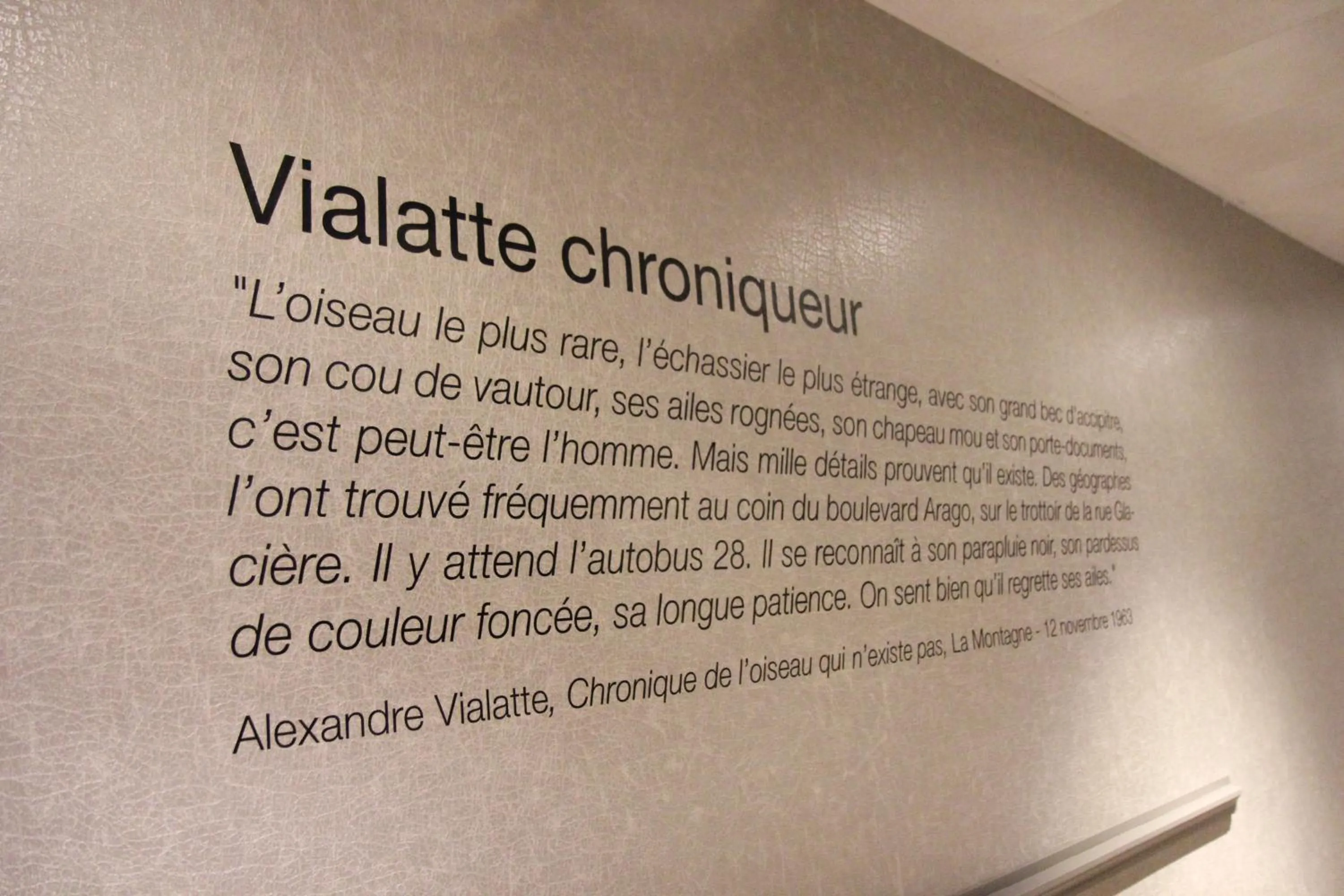 Decorative detail in Hotel Litteraire Alexandre Vialatte, BW Signature Collection