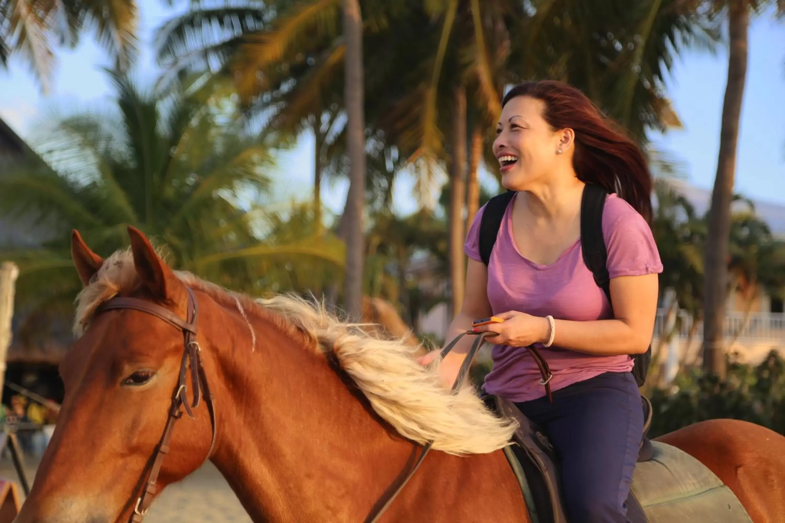 Horse-riding in Aquarius On The Beach