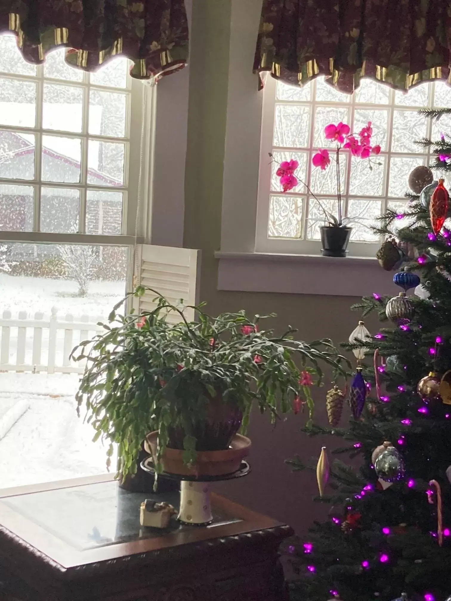 Dining area in Granbury Gardens Bed and Breakfast