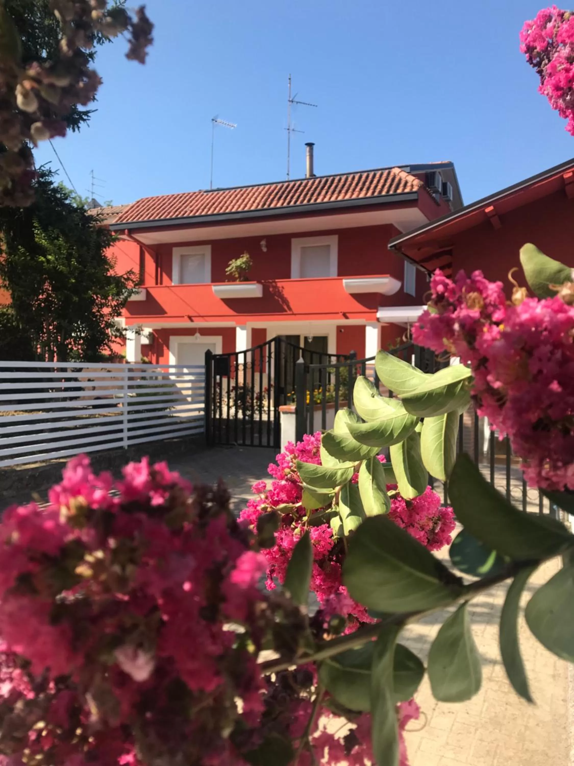 Property building in B&B Red Village