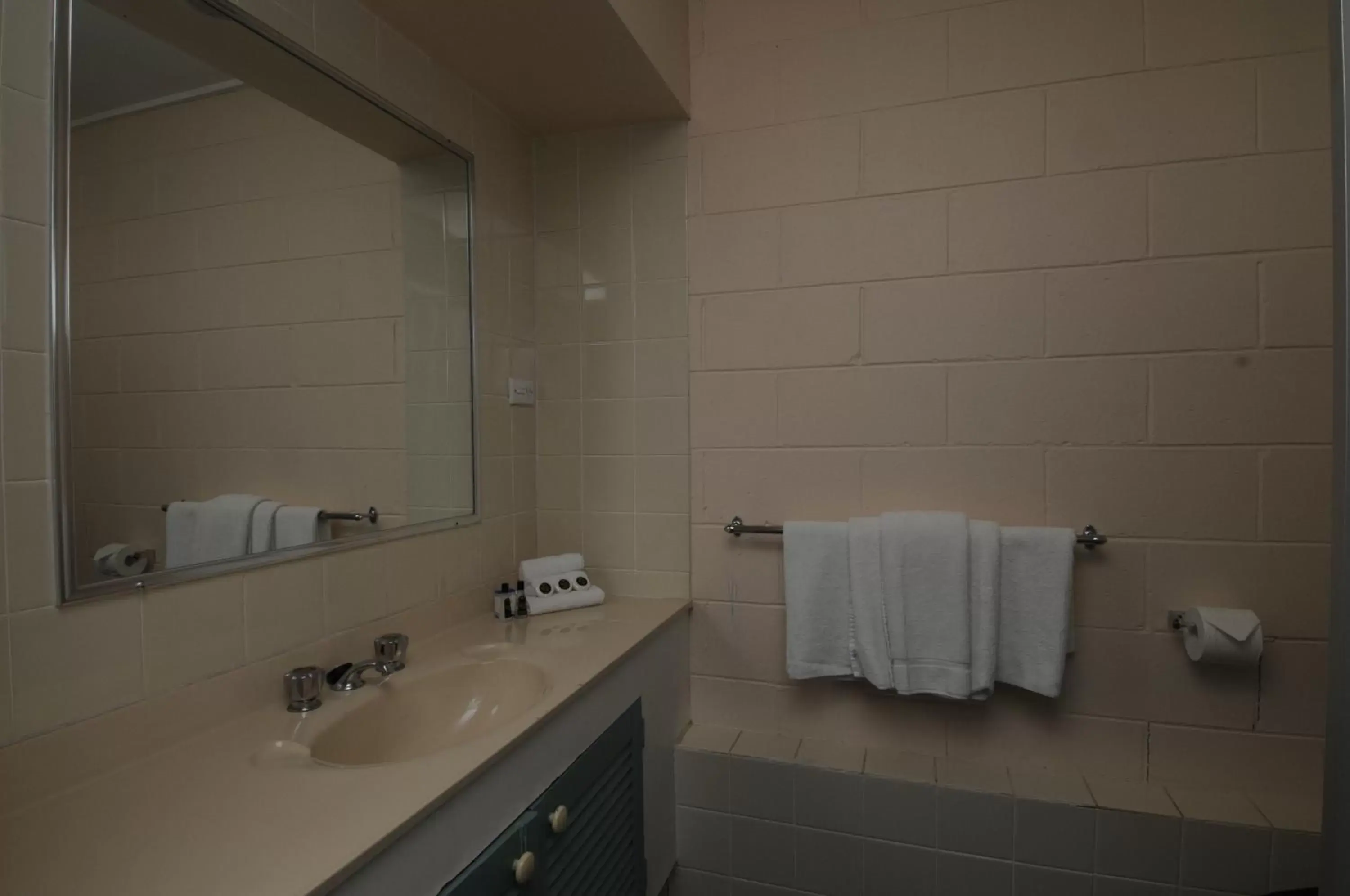 Bathroom in McNevins Logan Park Motel