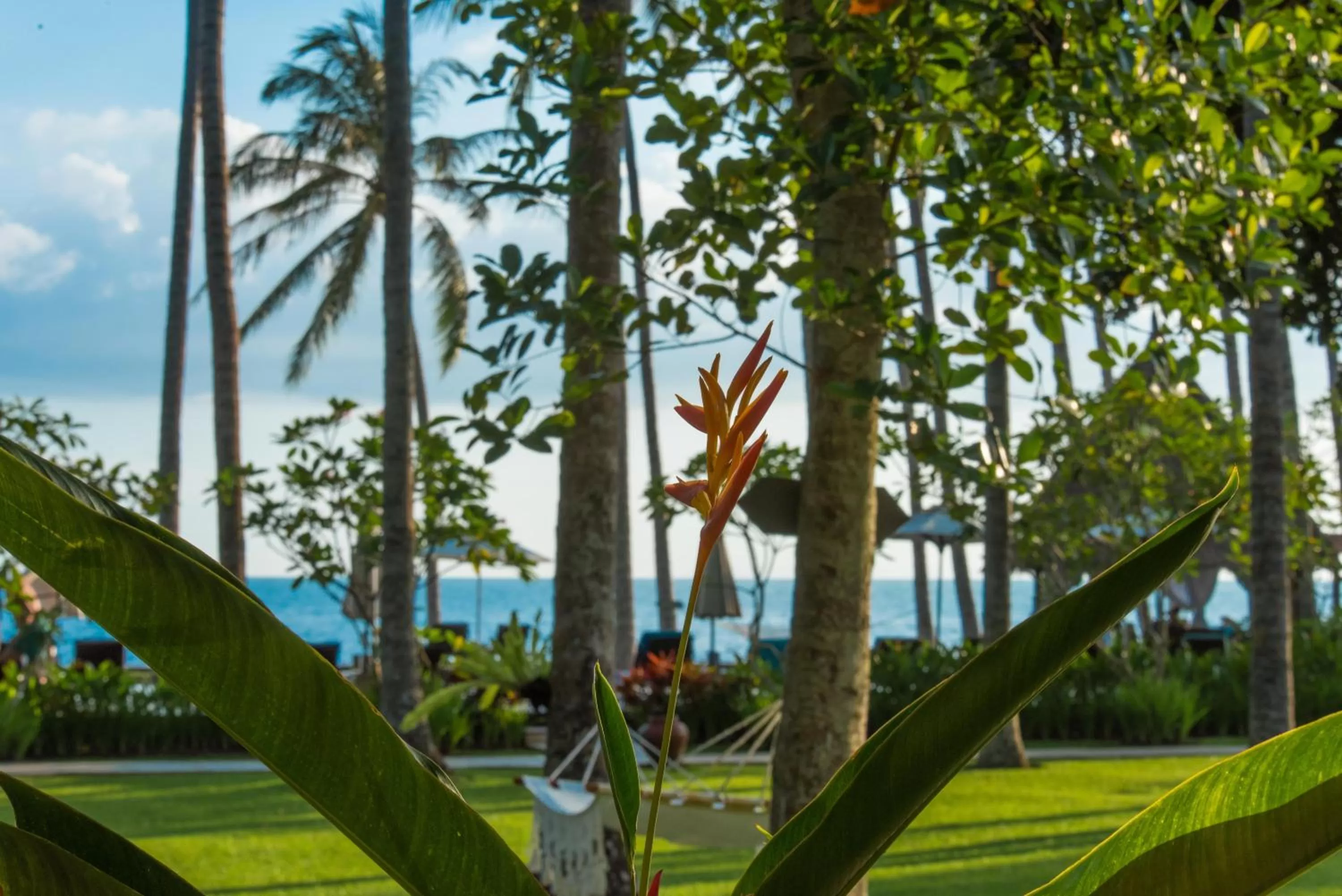 View (from property/room) in The Chandi Boutique Resort & Spa