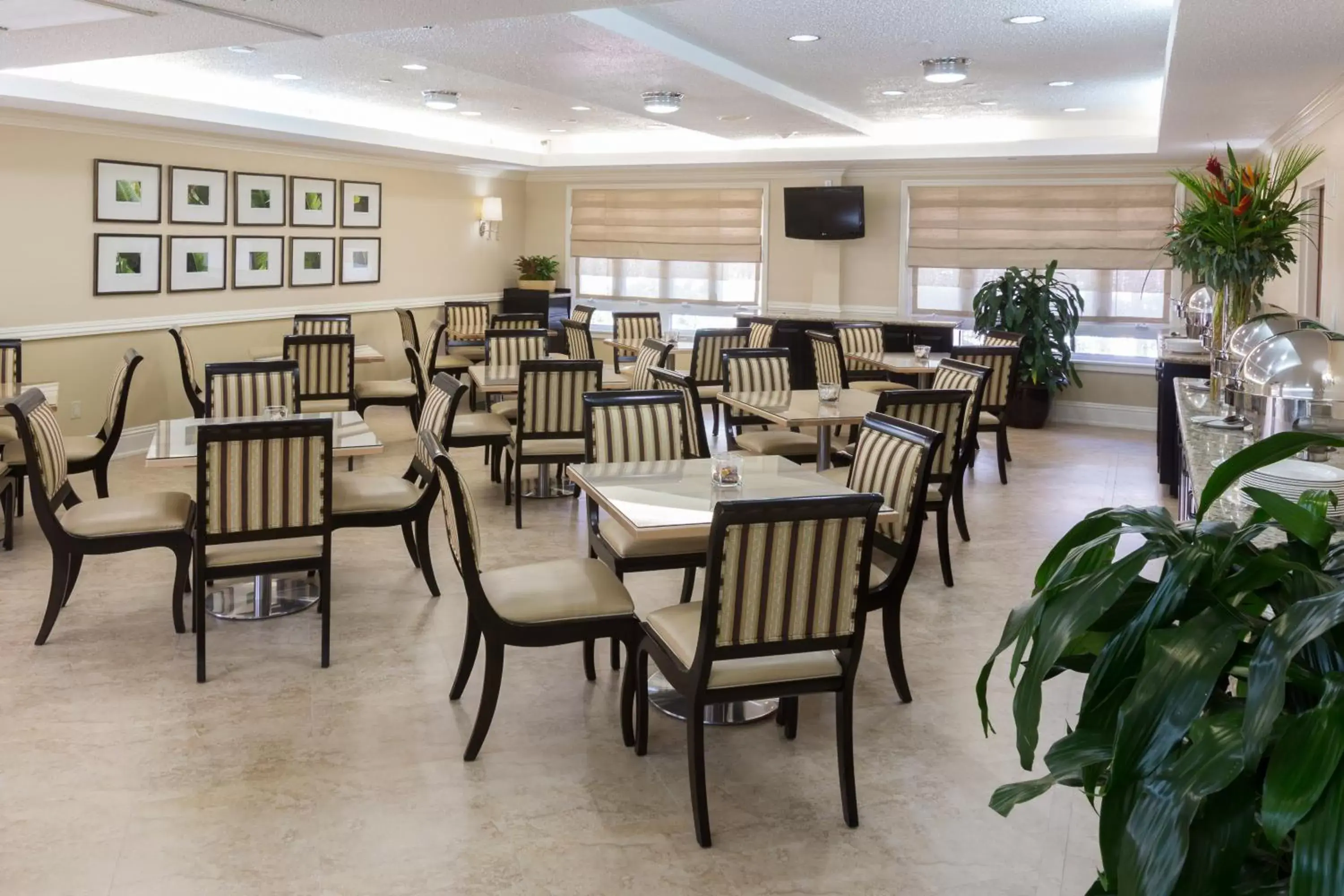 Restaurant/places to eat in Comfort Suites Paradise Island Restaurant/places to eat in Comfort Suites Paradise Island