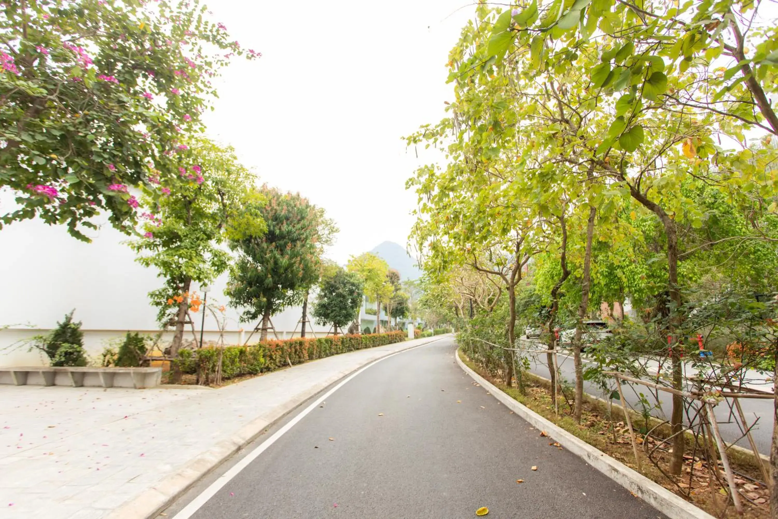 Quiet street view in Wyndham Grand Vedana Ninh Binh Resort