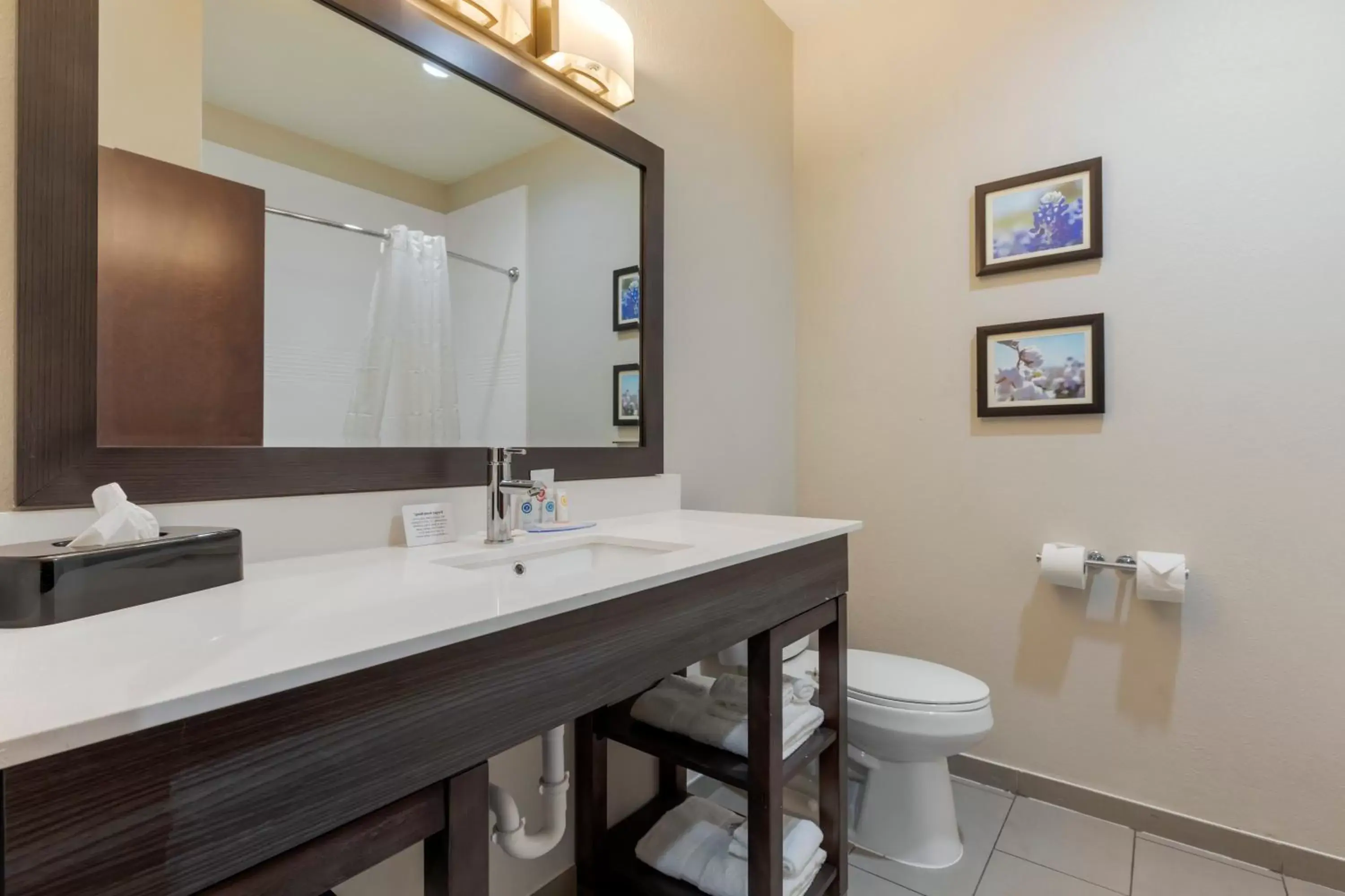 Bathroom in Comfort Inn & Suites Balch Springs - SE Dallas