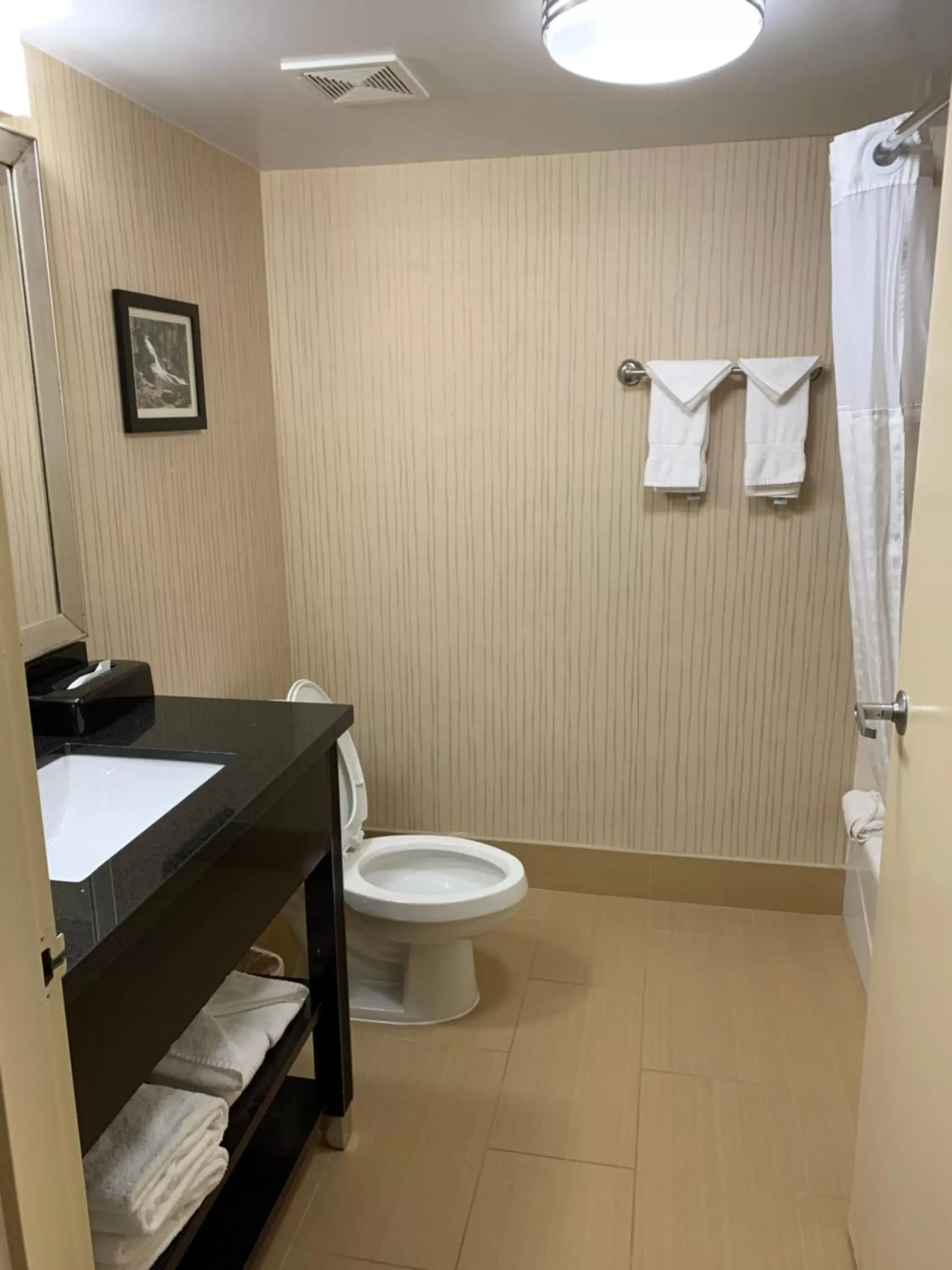 Bathroom in Comfort Inn Douglasville - Atlanta West