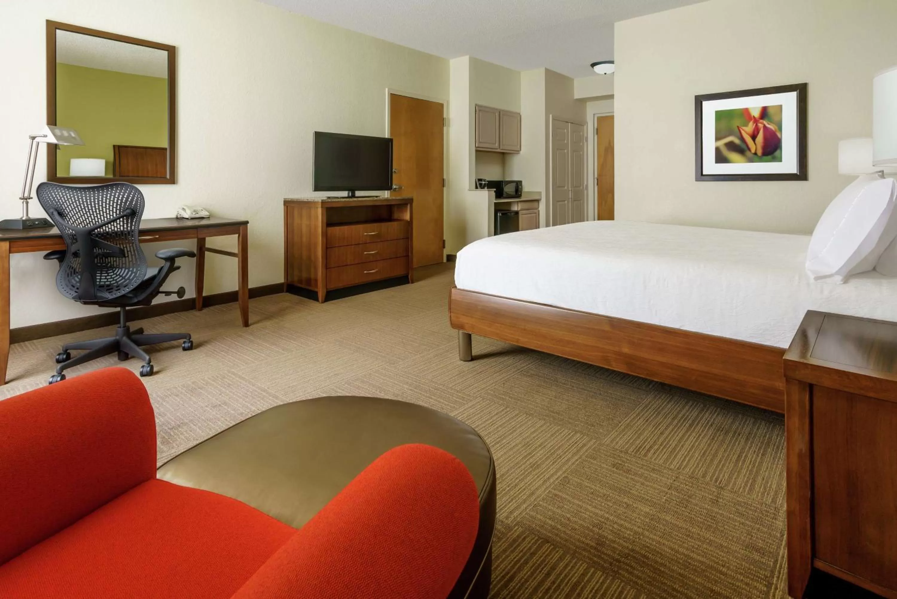 Deluxe King Room with Bath Tub - Disability Access in Hilton Garden Inn Lake Mary