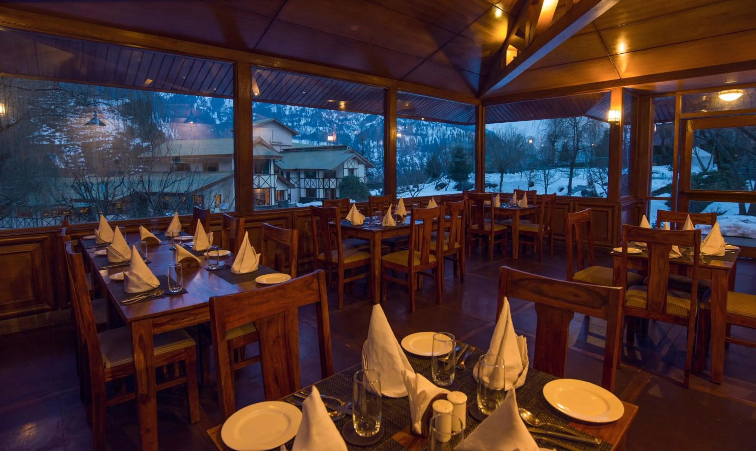 Food and drinks in Solang Valley Resort