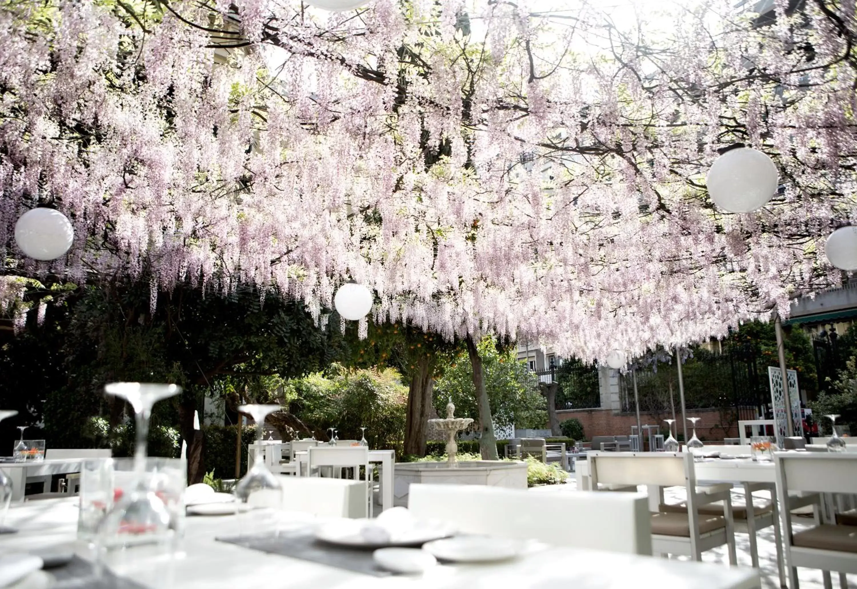 Garden, Restaurant/Places to Eat in Hospes Palacio de los Patos