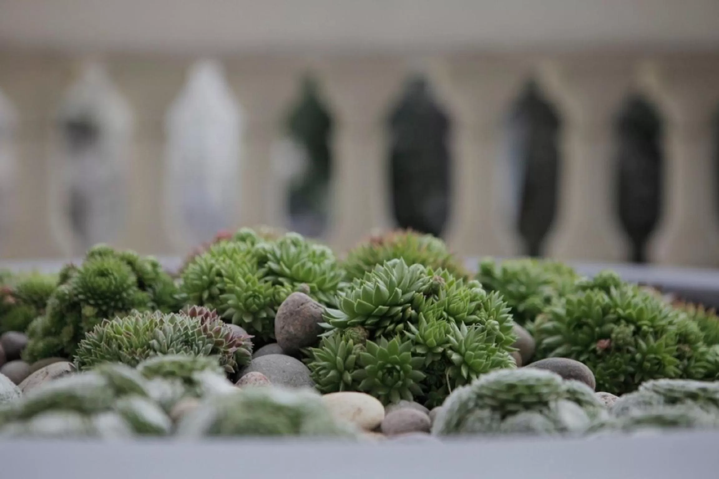 View (from property/room) in Signature Townhouse London Hyde Park