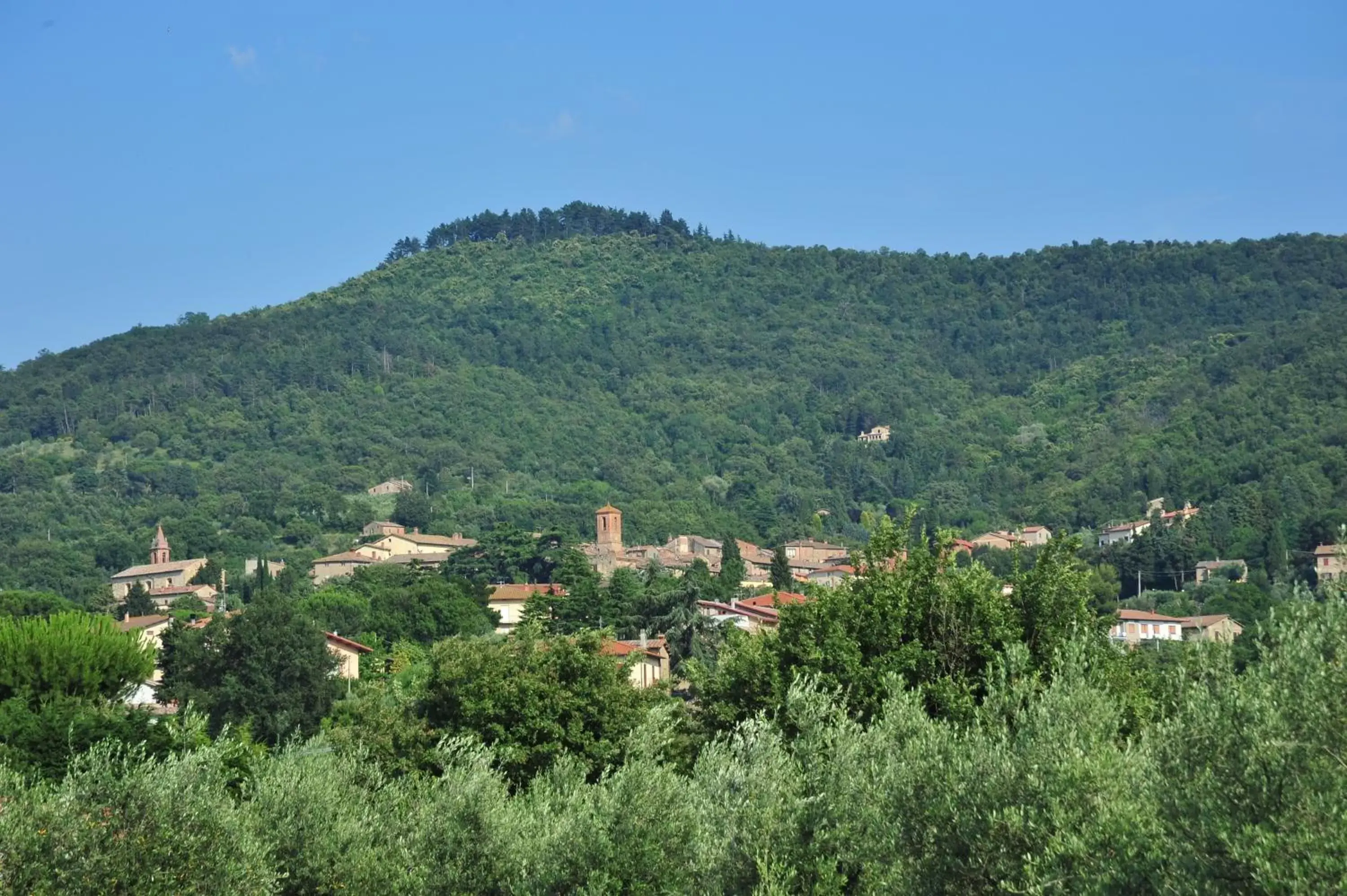 Area and facilities in Tenuta Badia '99