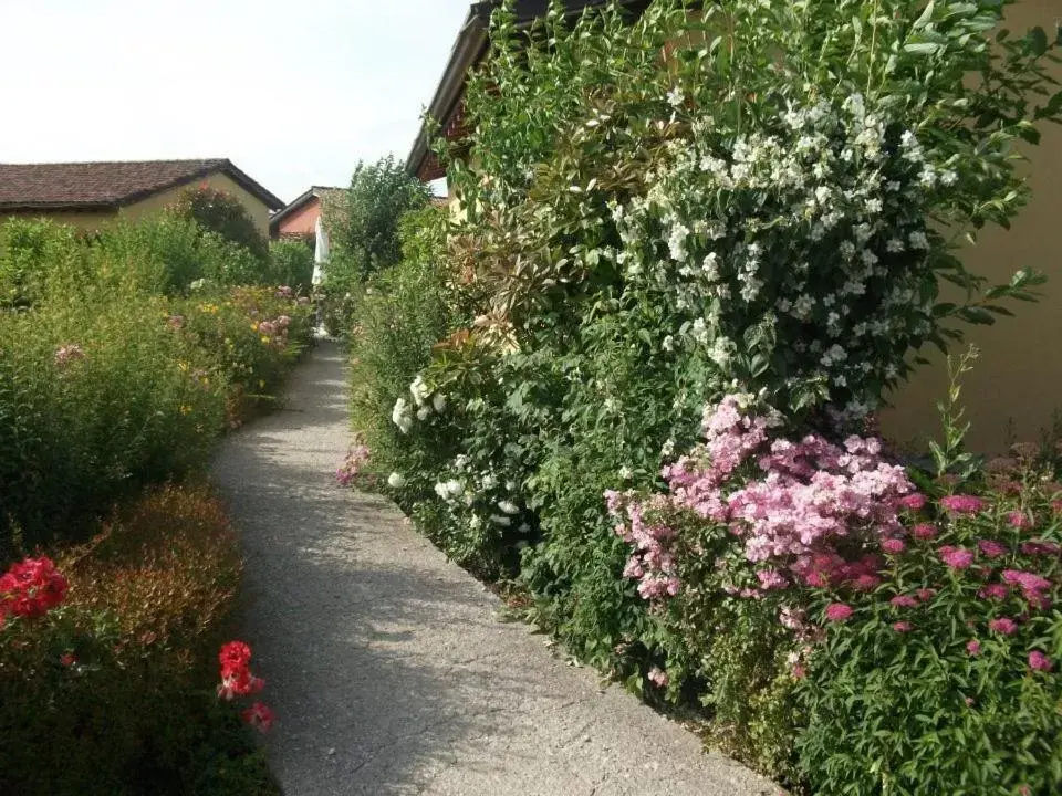 Decorative detail, Garden in Joia Hotel & Luxury Apartments