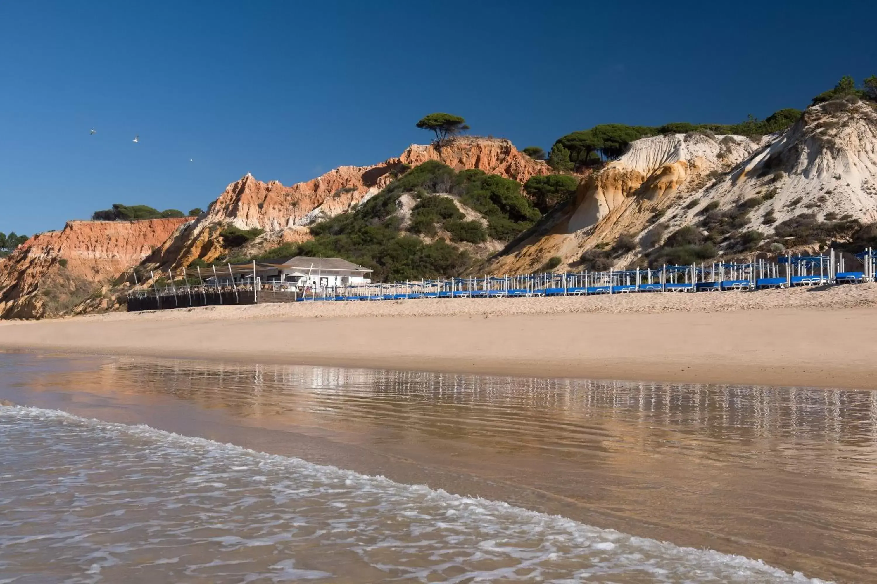 Beach in Pine Cliffs Residence, a Luxury Collection Resort, Algarve