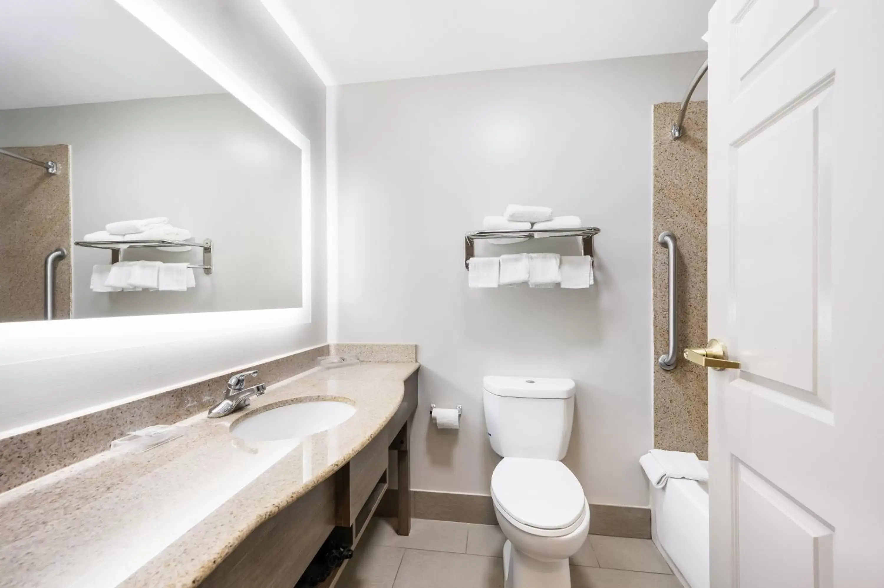 Bathroom in Red Roof Inn PLUS & Suites Birmingham - Bessemer