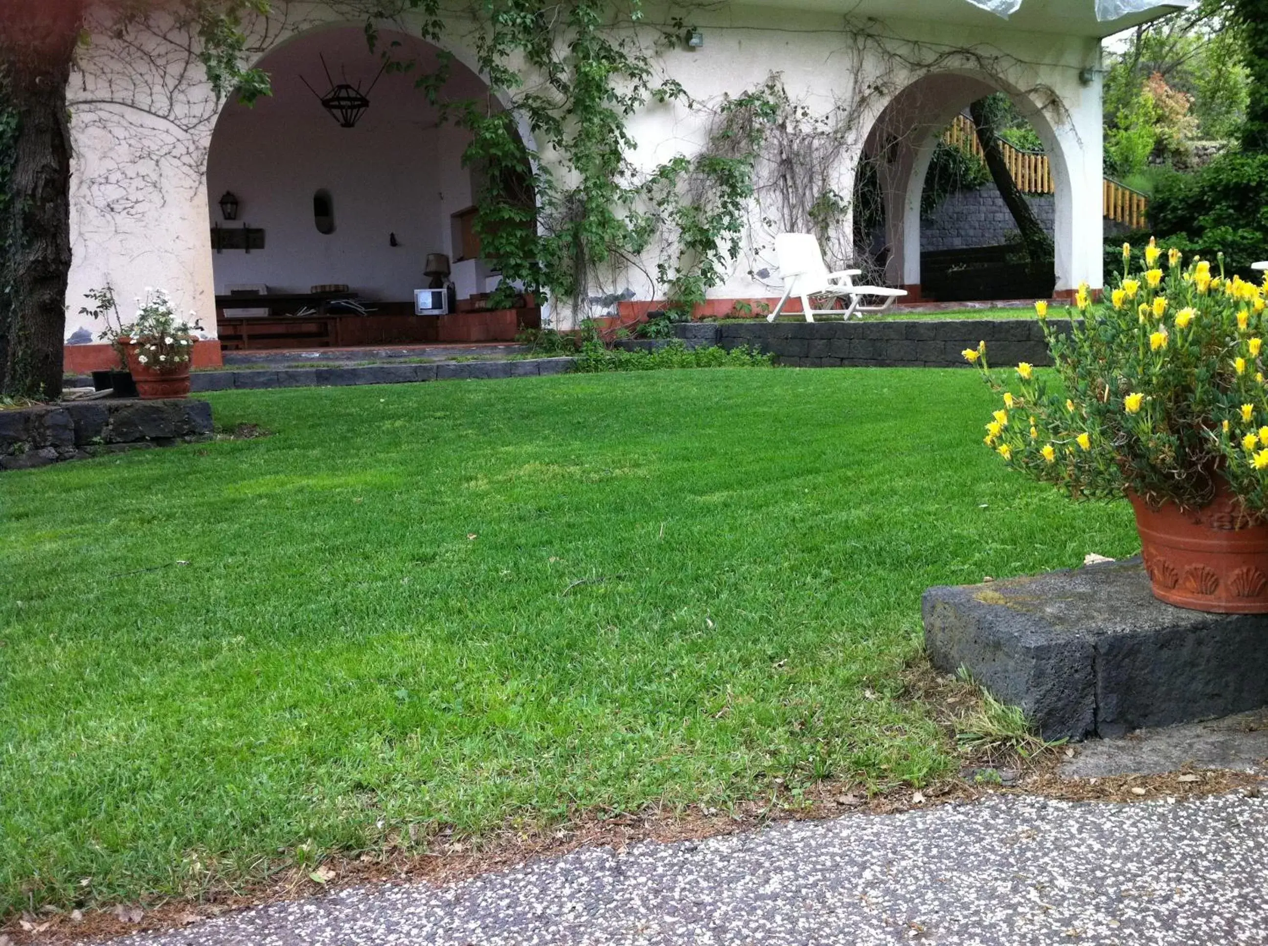 Garden in Domus Verdiana