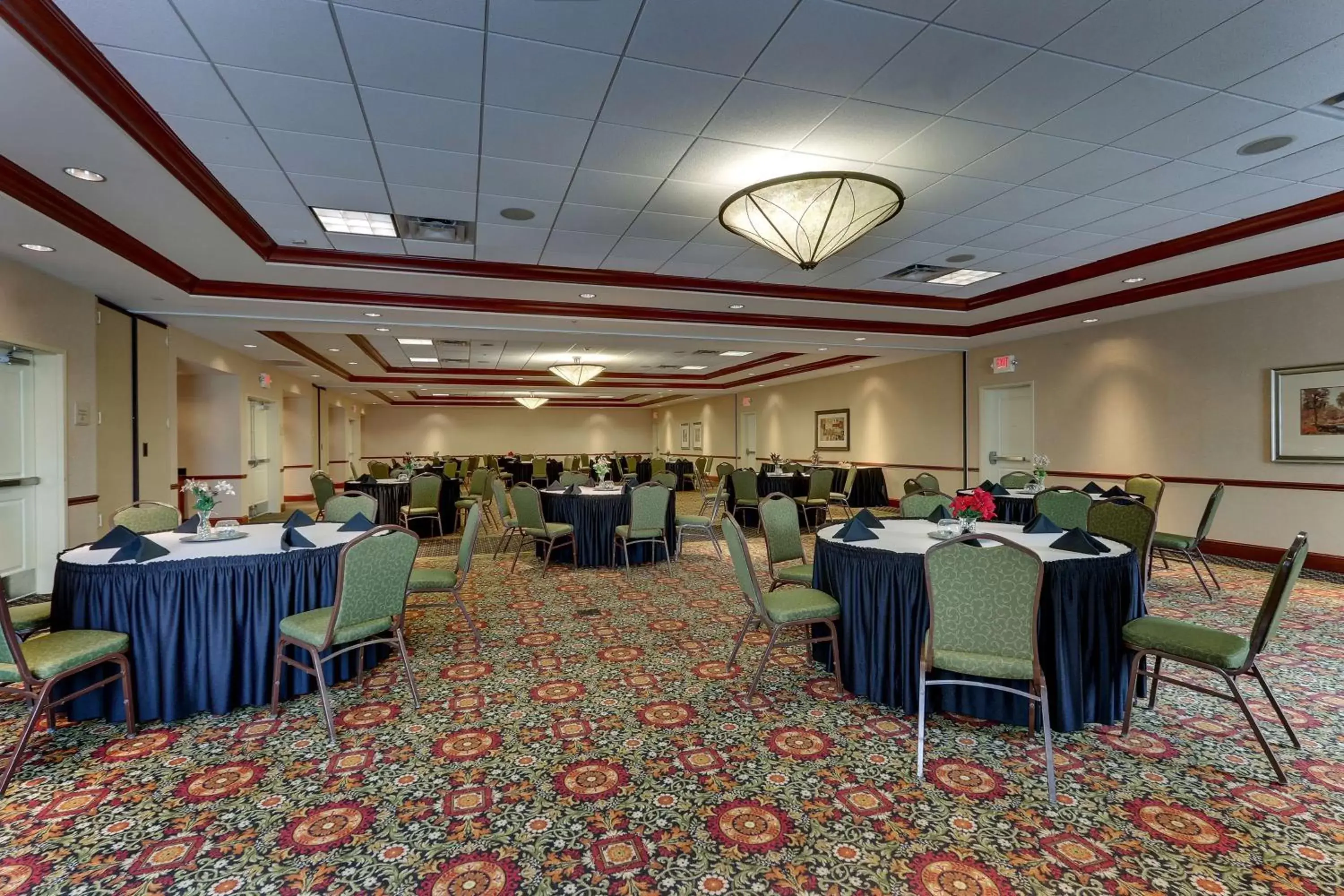Meeting/conference room in Hilton Garden Inn Indianapolis Airport