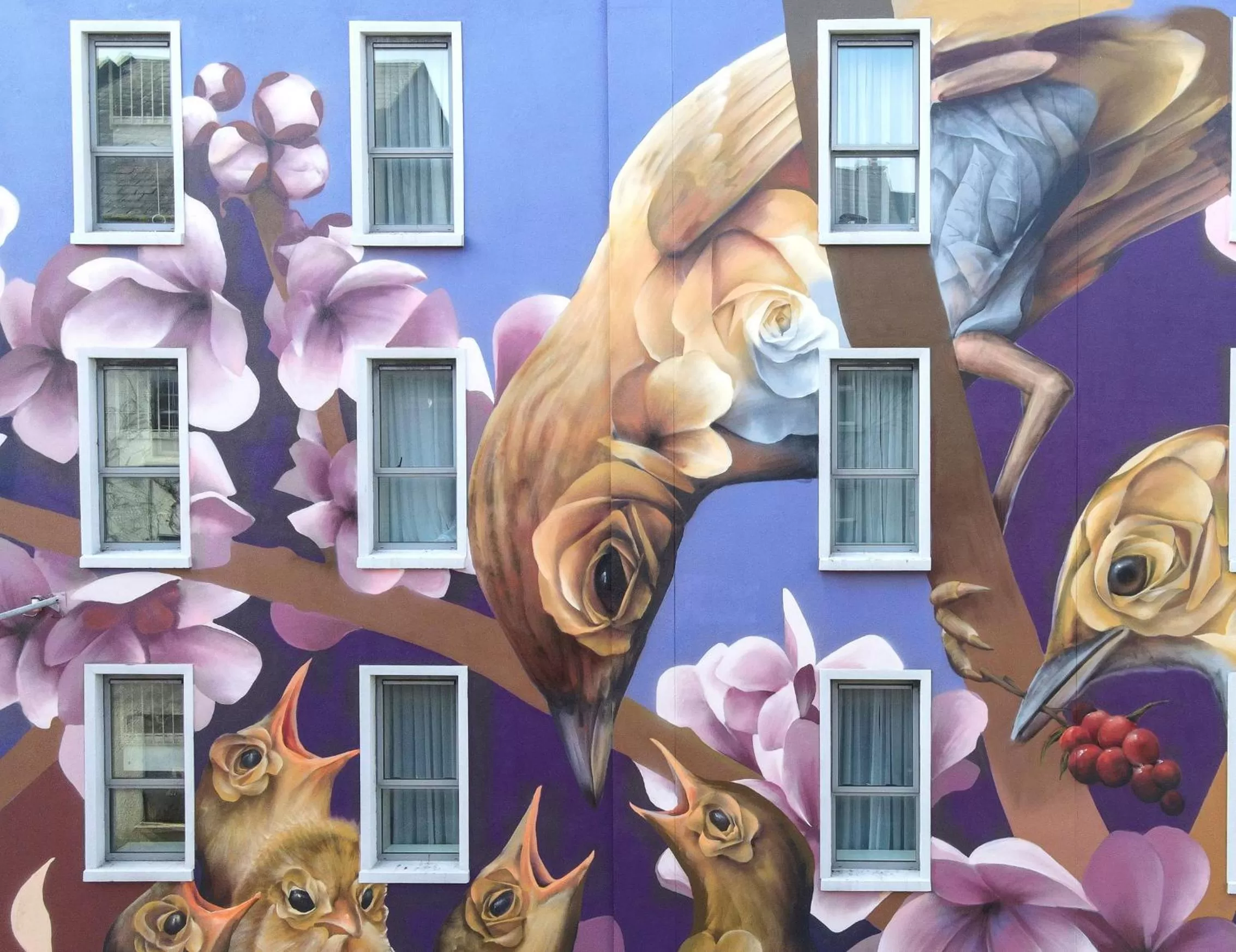 Property building in The Fitzwilton Hotel