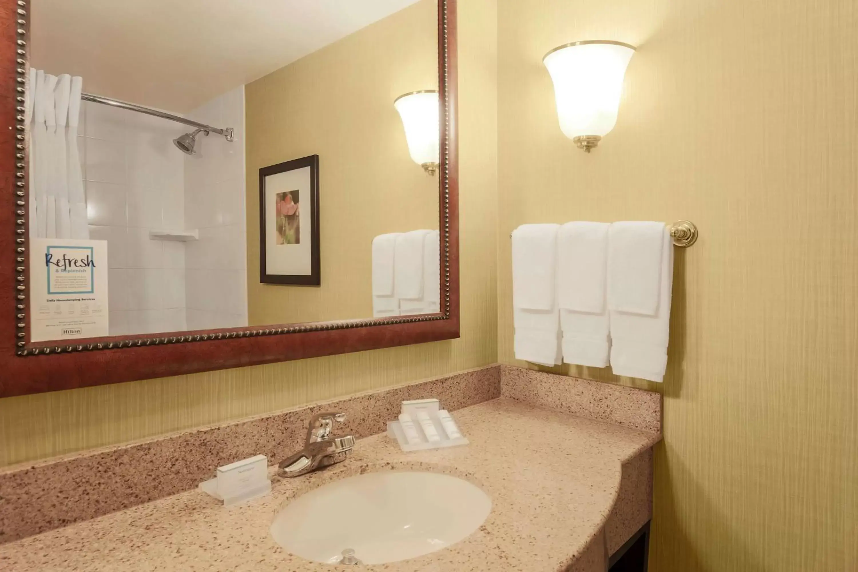 Bathroom in Hilton Garden Inn Chicago/Midway Airport