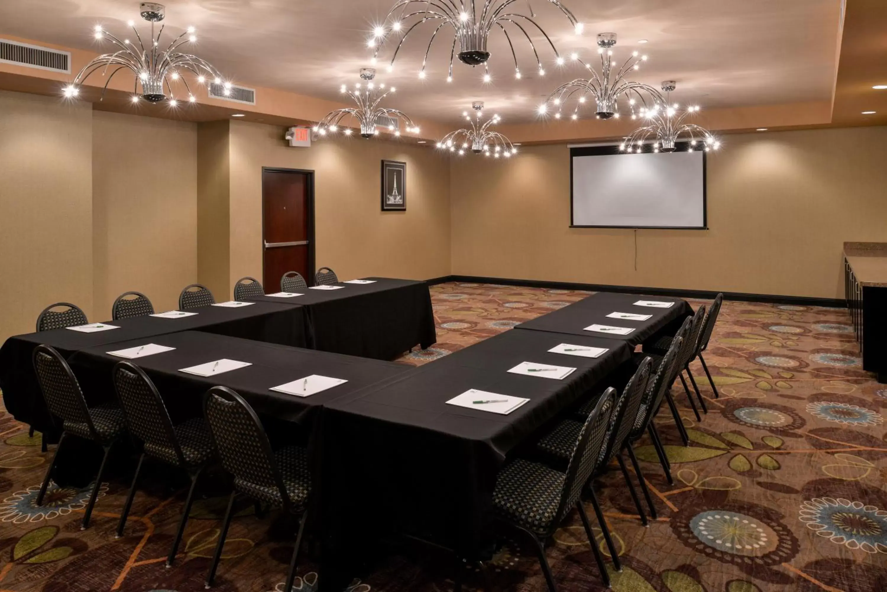 Meeting/conference room in Holiday Inn Fort Worth North- Fossil Creek, an IHG Hotel