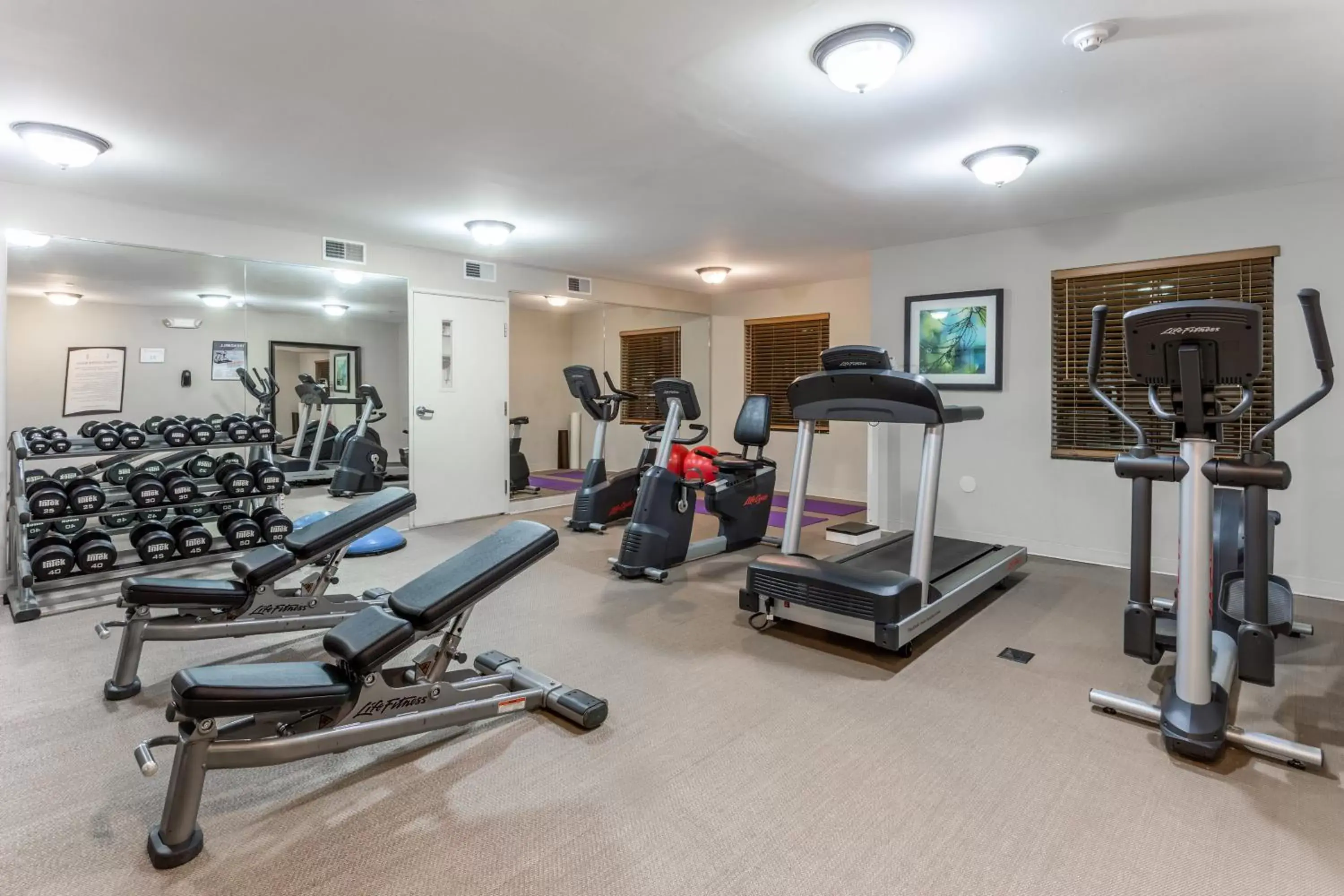 Fitness centre/facilities, Fitness Center/Facilities in Staybridge Suites Davenport, an IHG Hotel