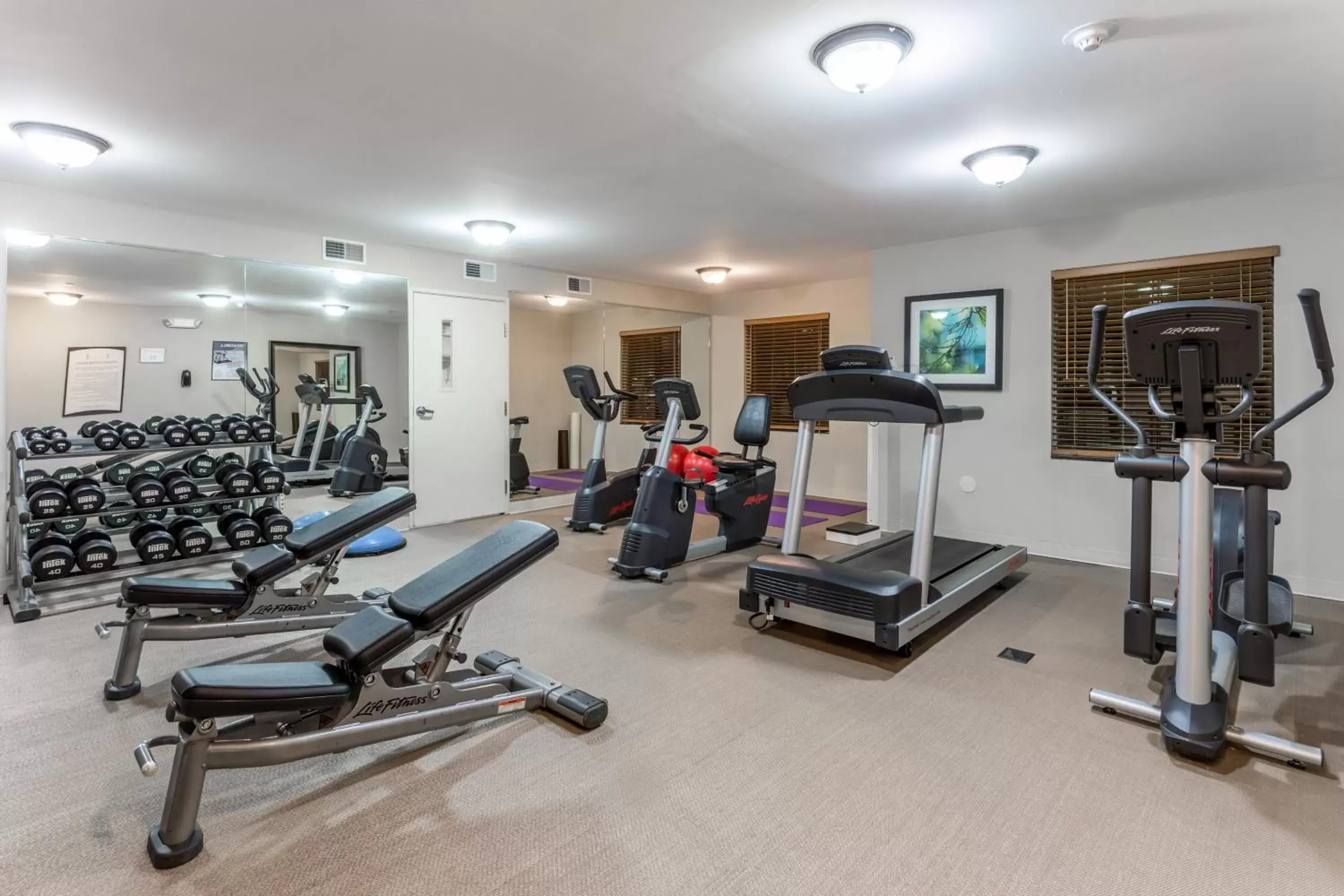 Fitness centre/facilities in Staybridge Suites Davenport by IHG Fitness centre/facilities in Staybridge Suites Davenport by IHG