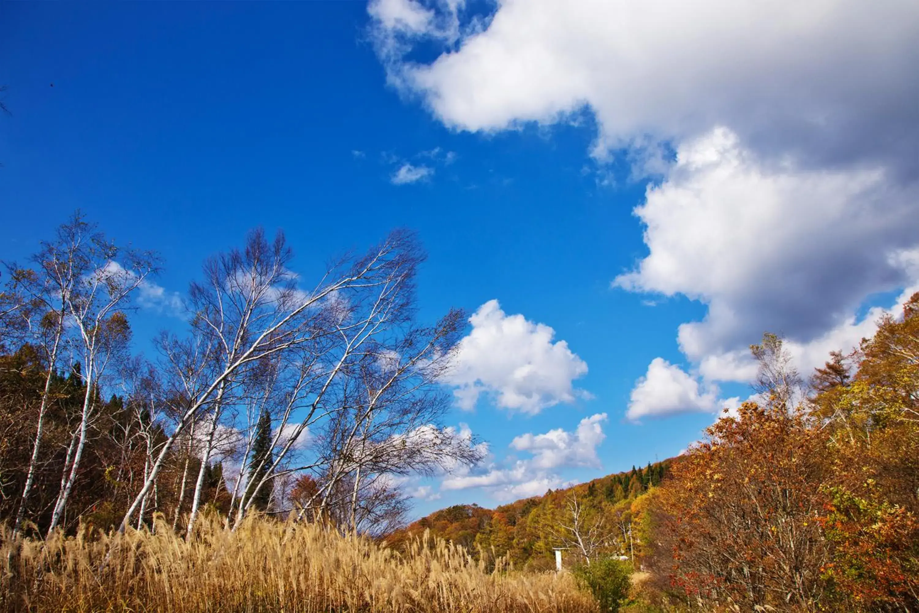 Natural landscape in Resort Villa Takayama