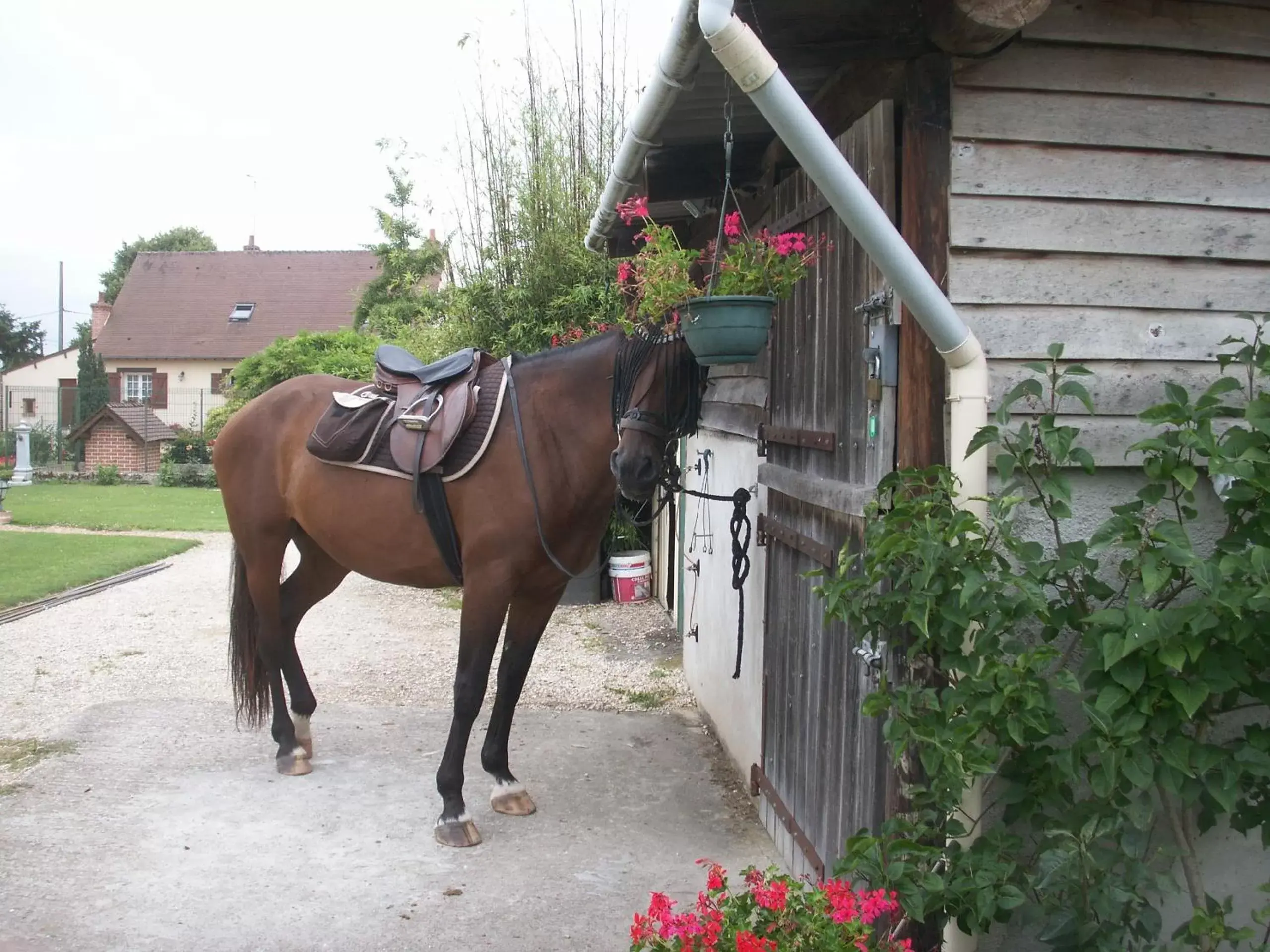 People, Other Animals in Le Clos des Perraudières