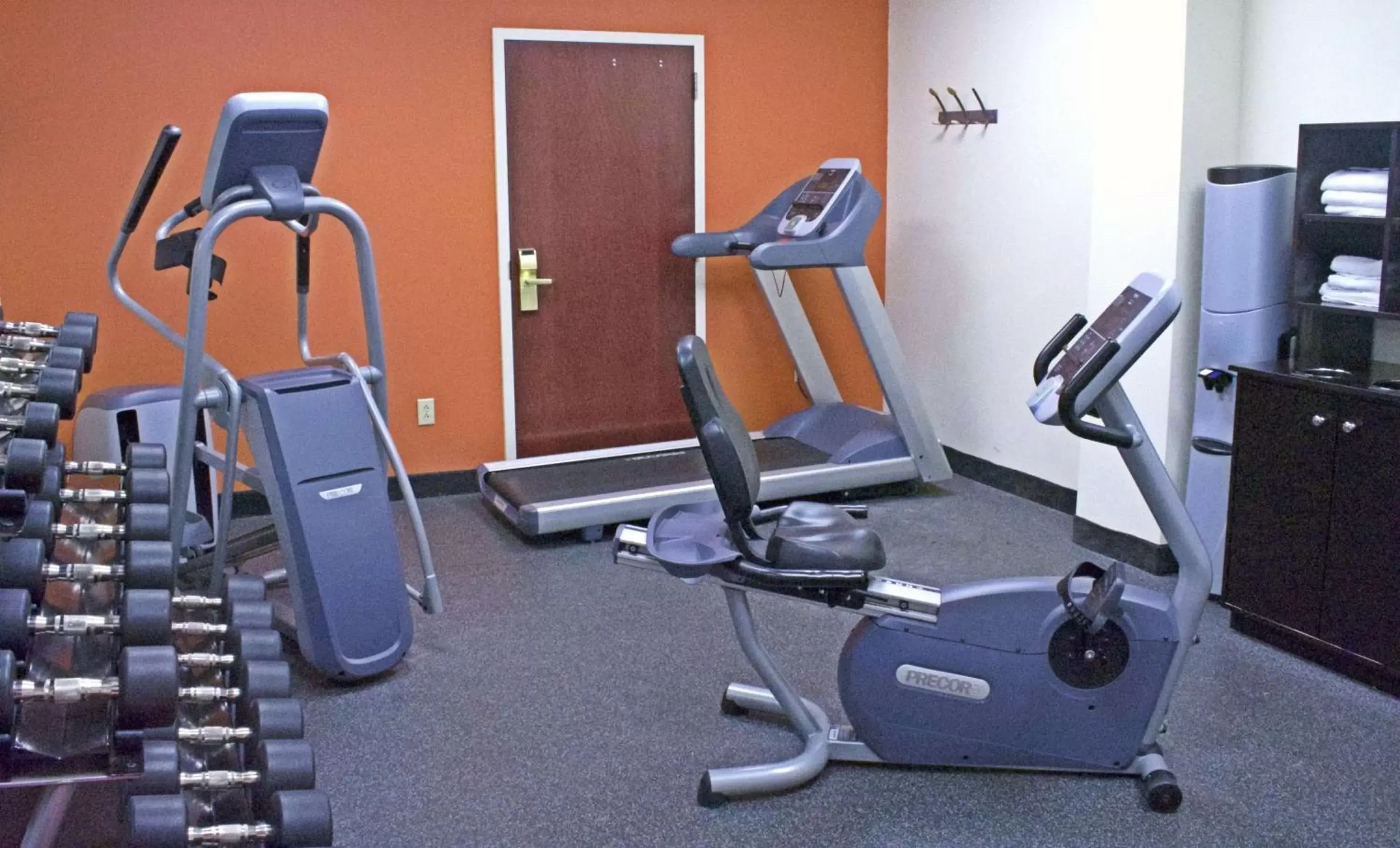 Fitness centre/facilities, Fitness Center/Facilities in Hampton Inn Ithaca