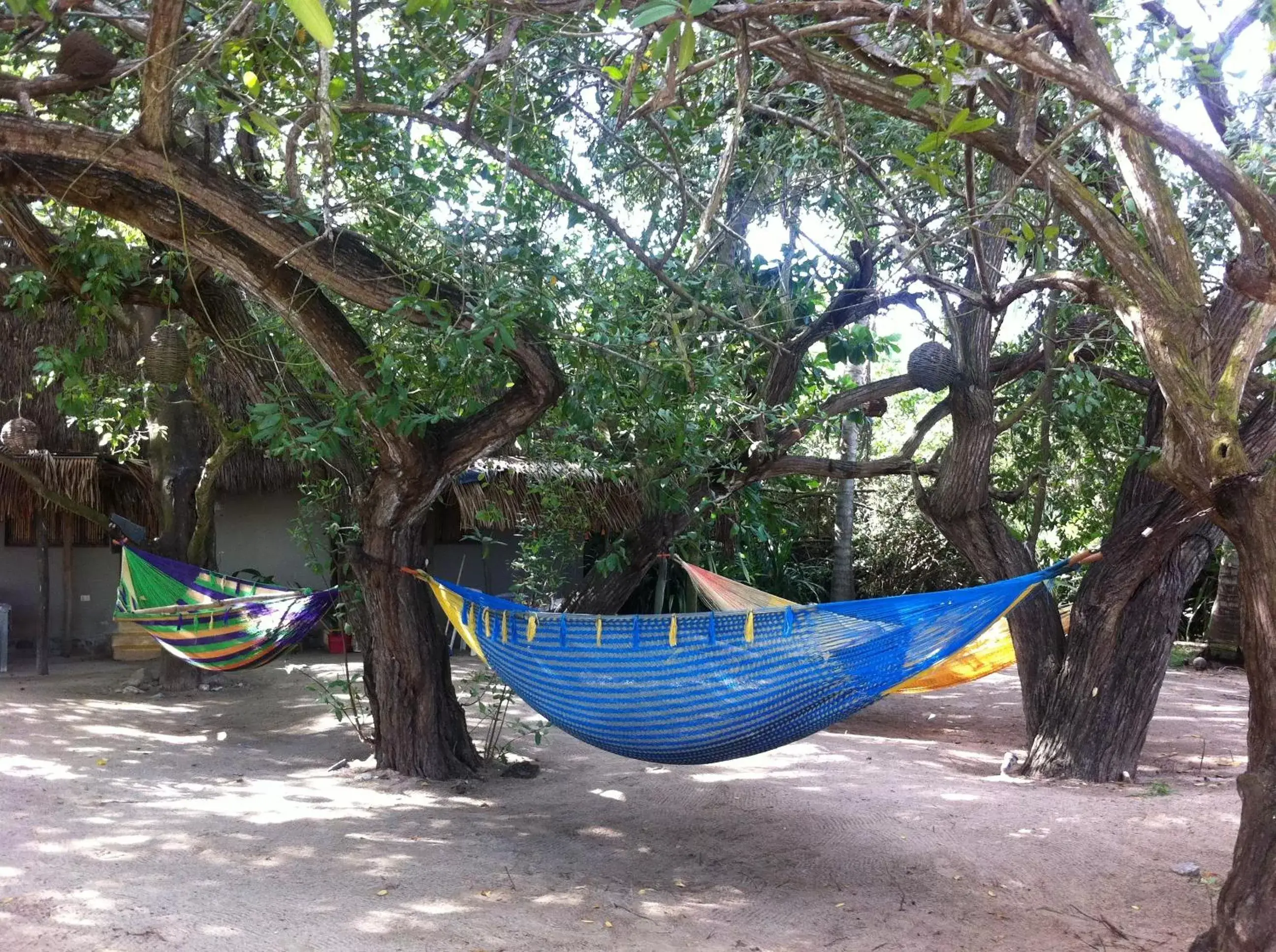 Day, Garden in Junto al Rio Bungalows & Suites