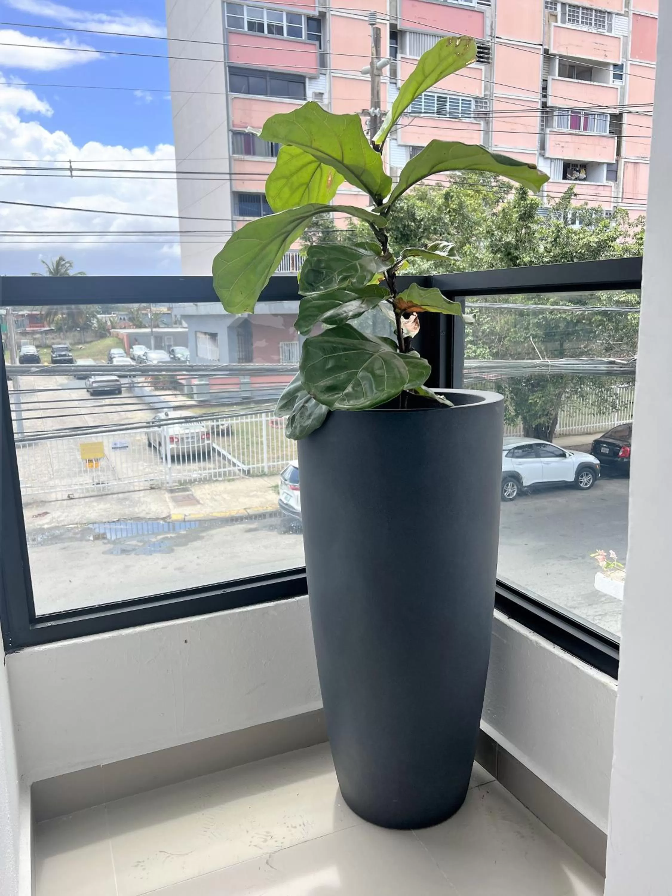 Balcony/Terrace in La Calma Poshtel