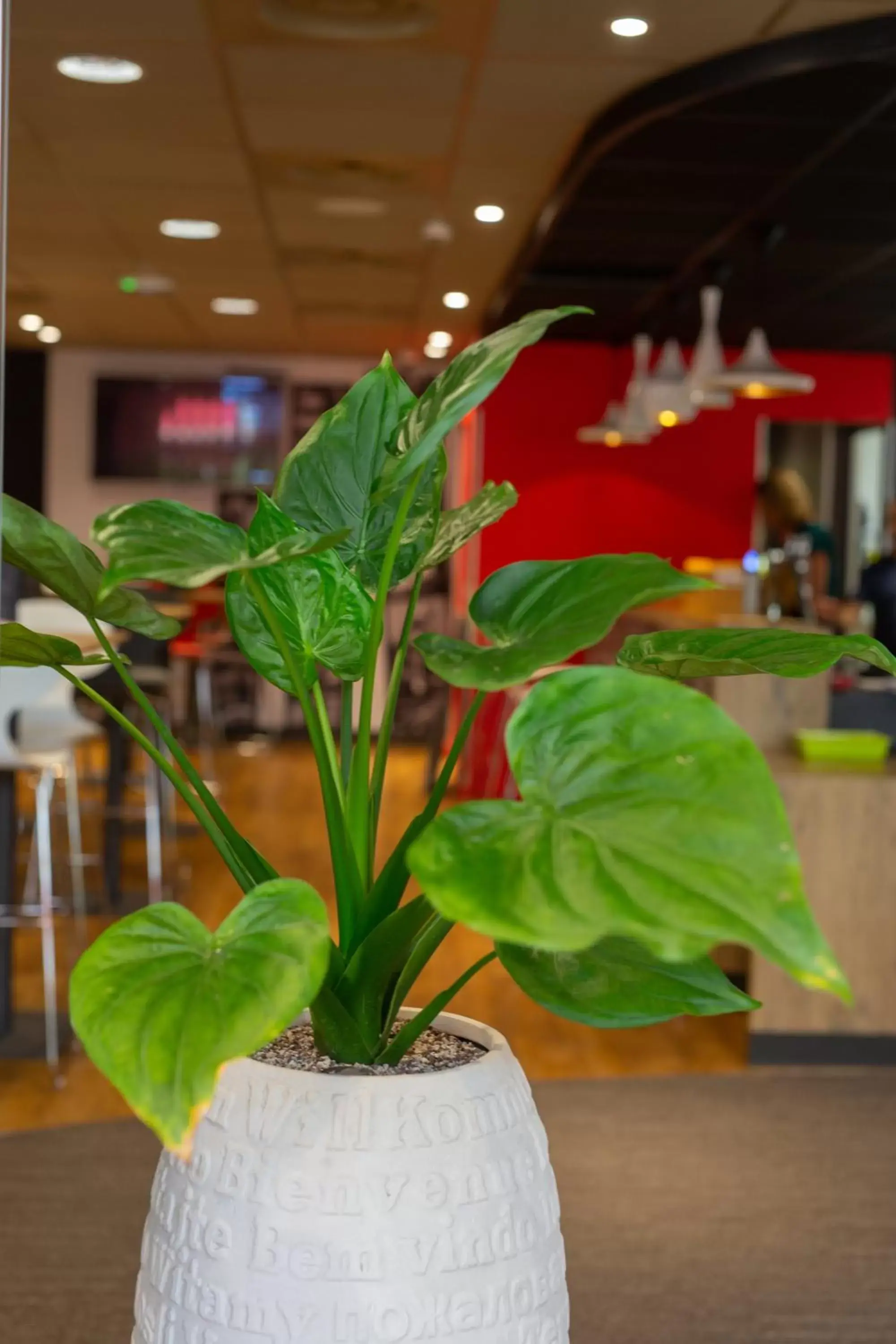 Lobby or reception in ibis Montpellier Sud