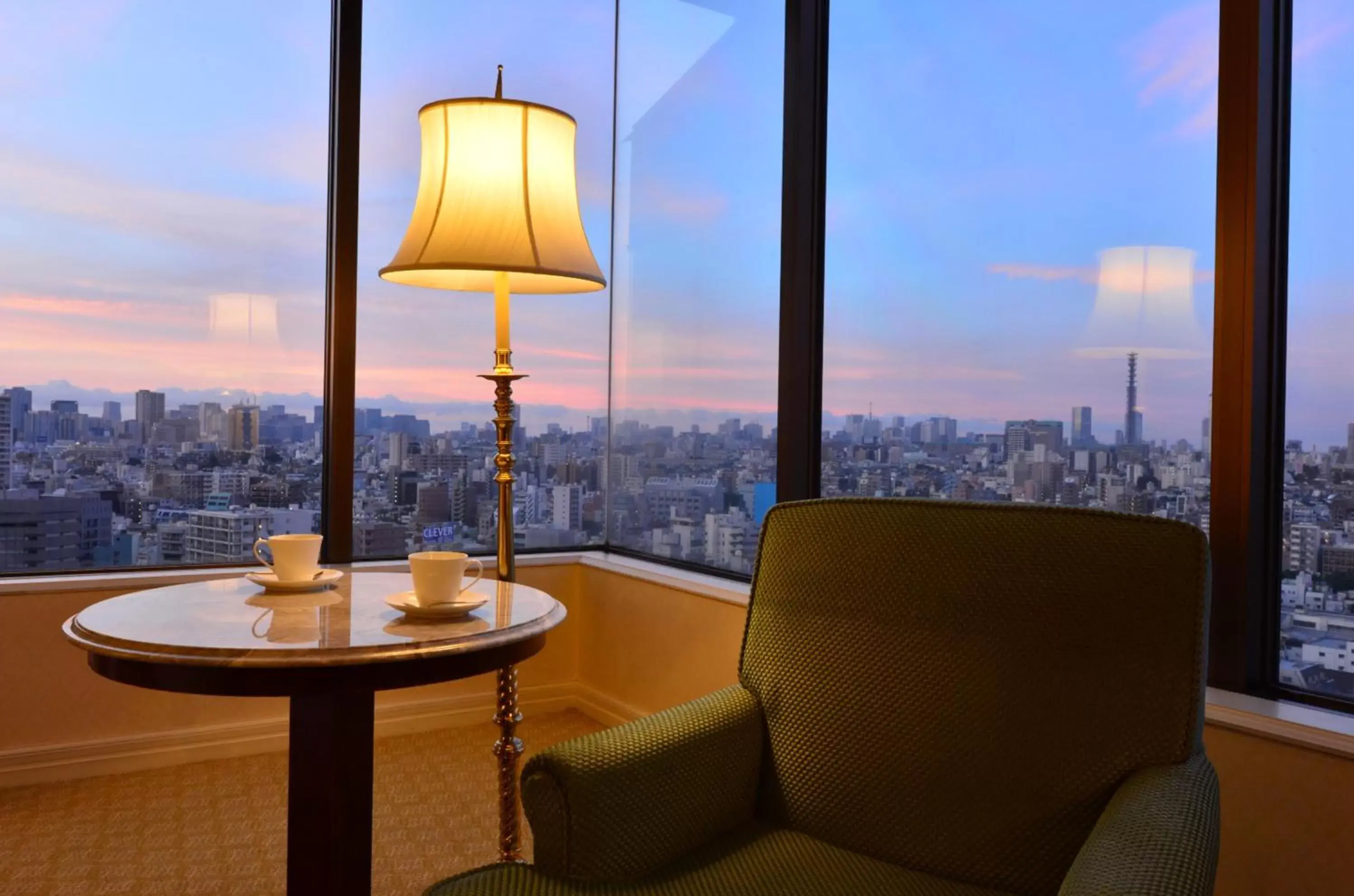 City view, Seating Area in Hotel Chinzanso Tokyo