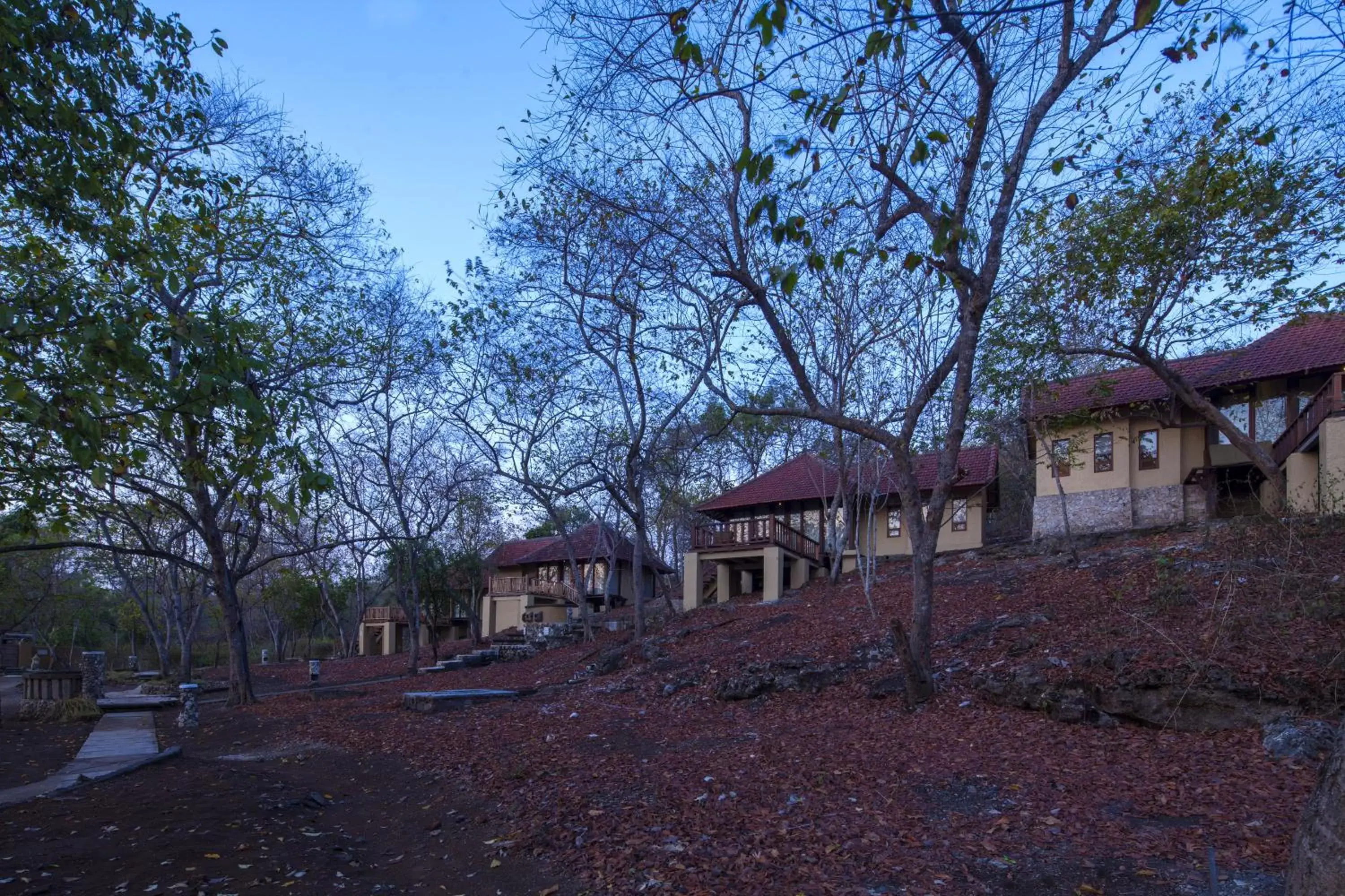 Natural landscape, Property Building in NusaBay Menjangan