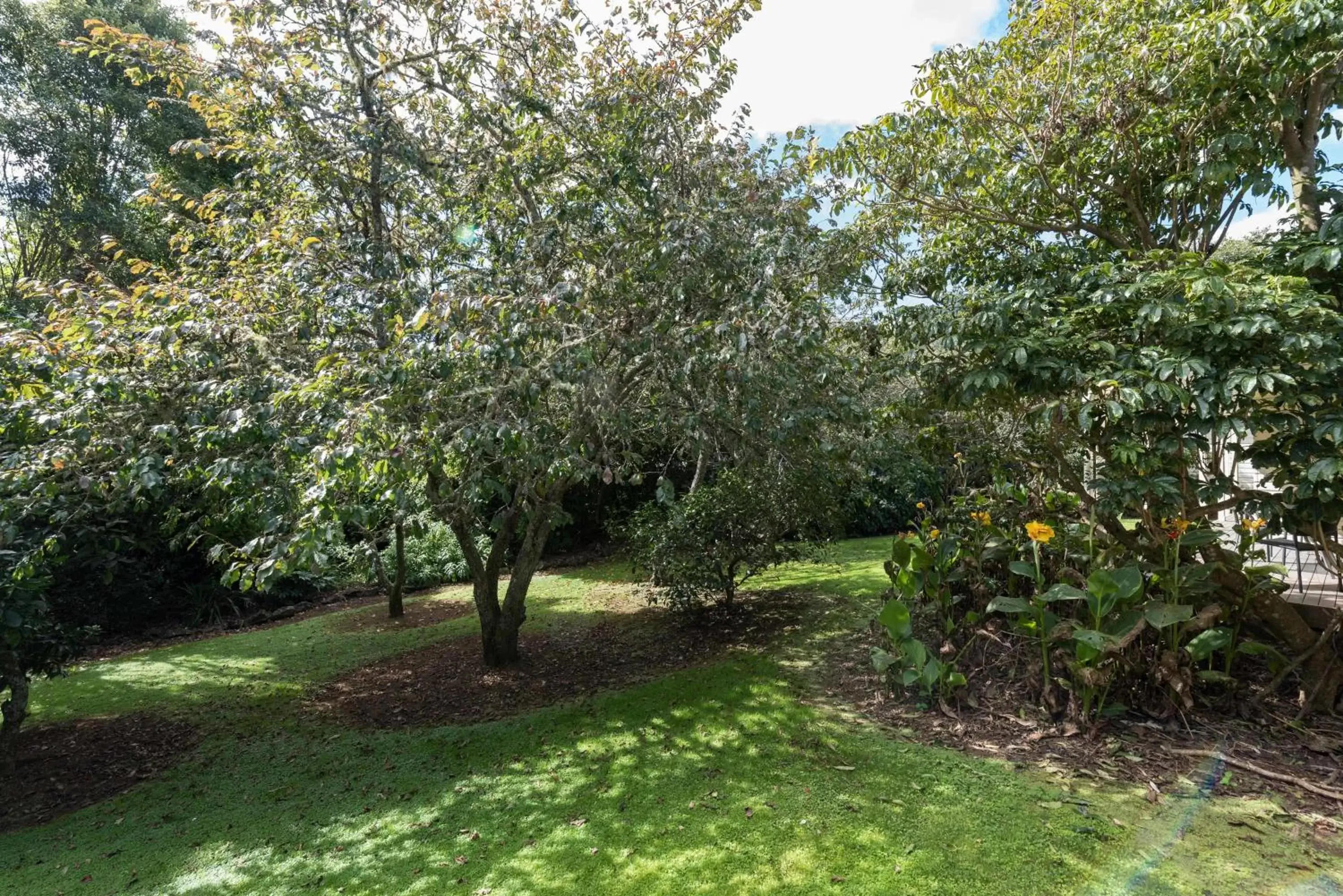 Garden in Kauri Park Motel