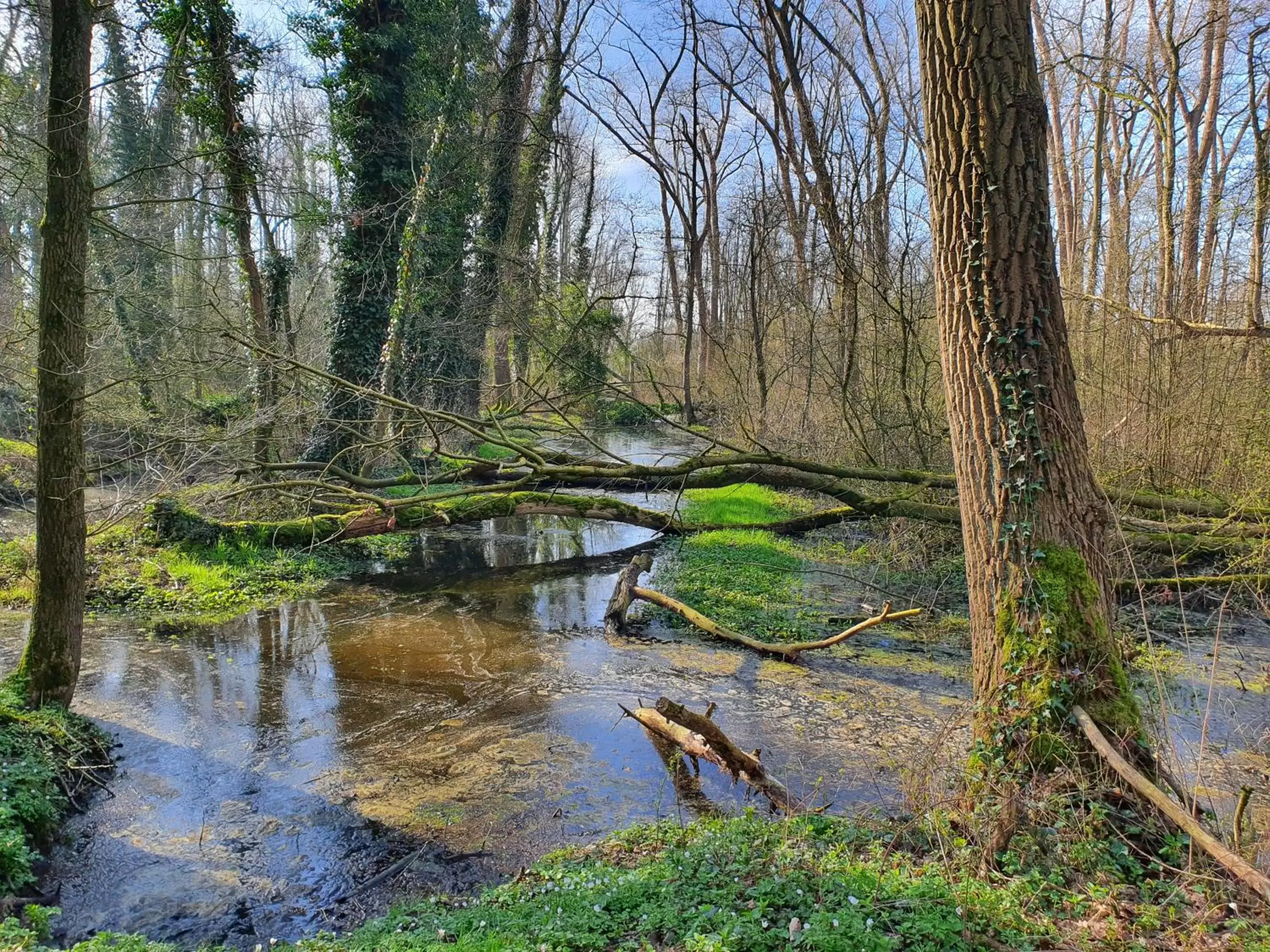 Natural Landscape in B & B de Stok