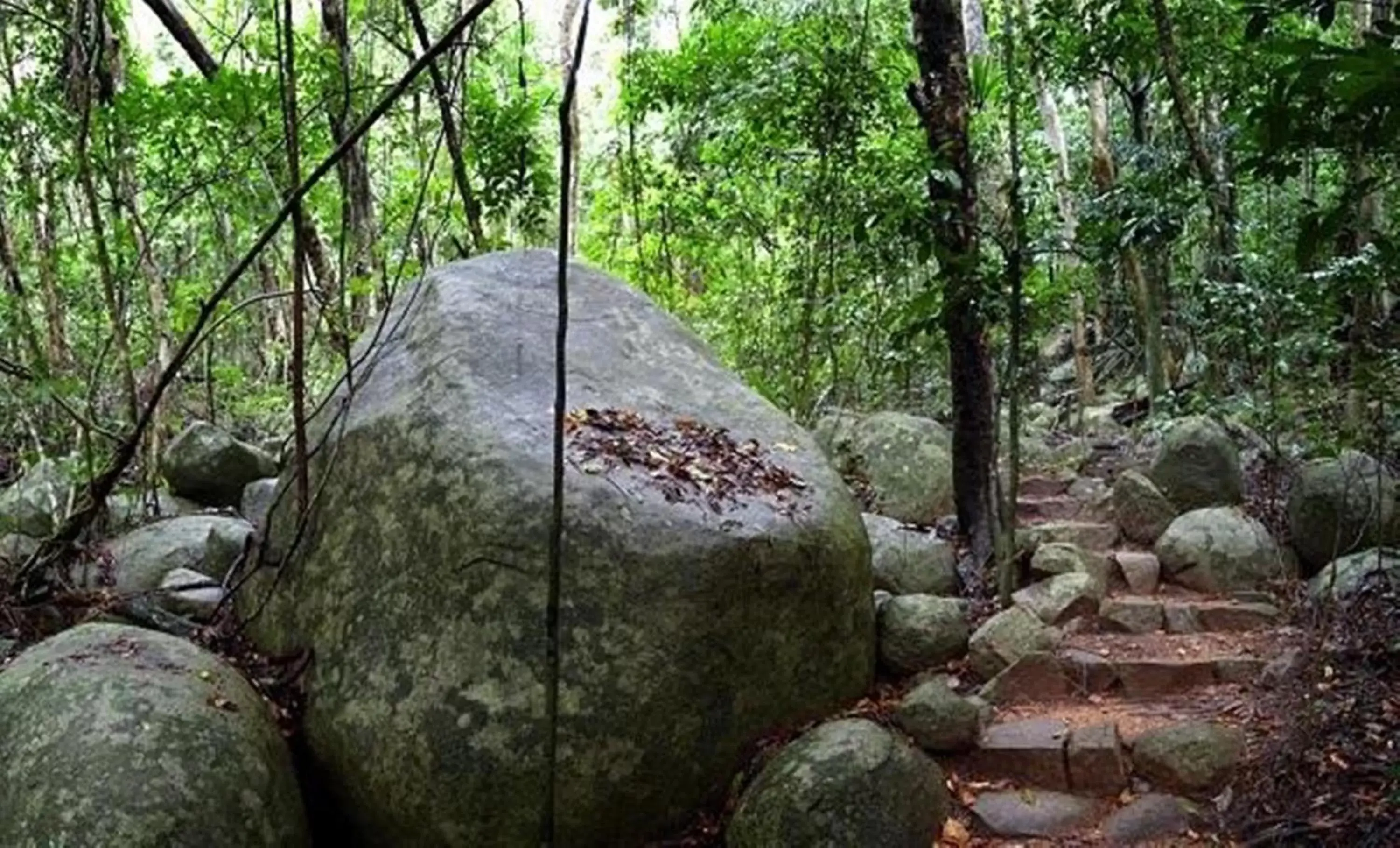 Hiking in Fitzroy Island Resort