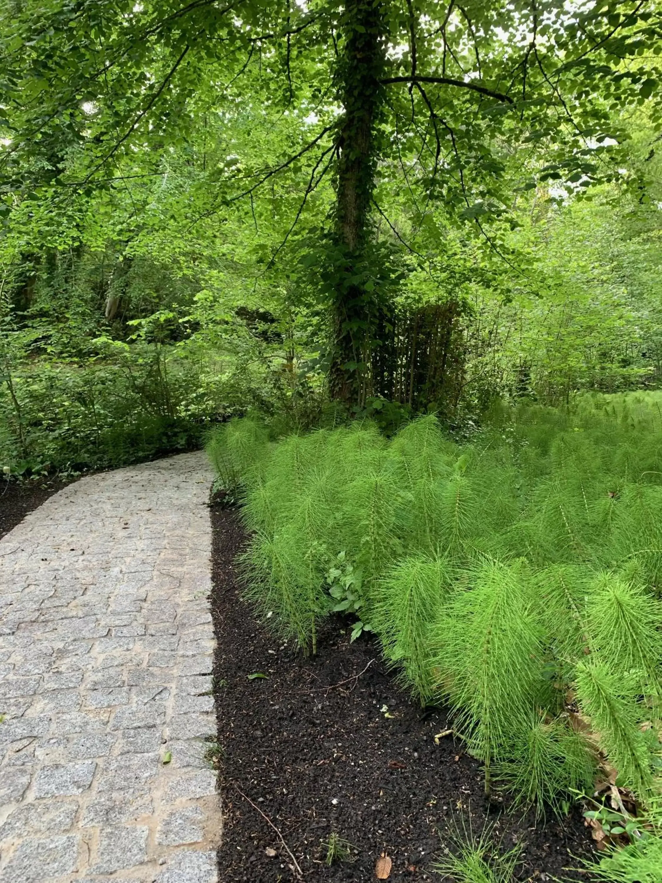 Garden in Chateau Pont Saint-Martin