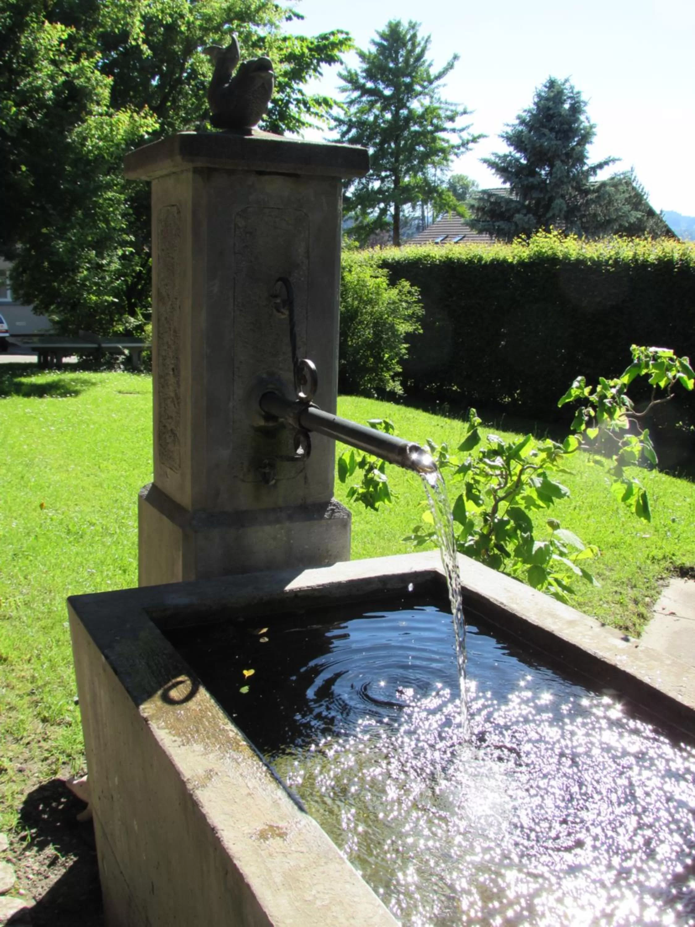 Garden in Emme Lodge