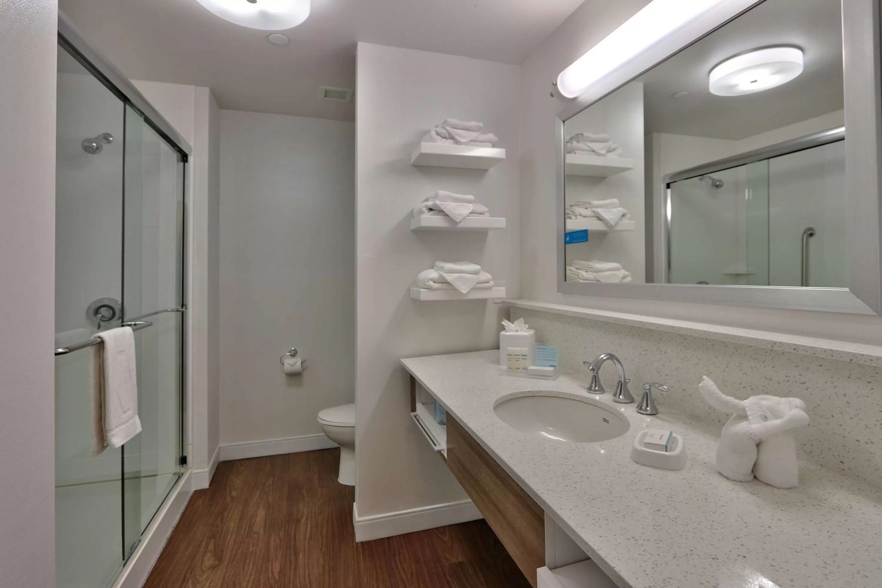 Bathroom in Hampton Inn & Suites Las Cruces I-10, Nm