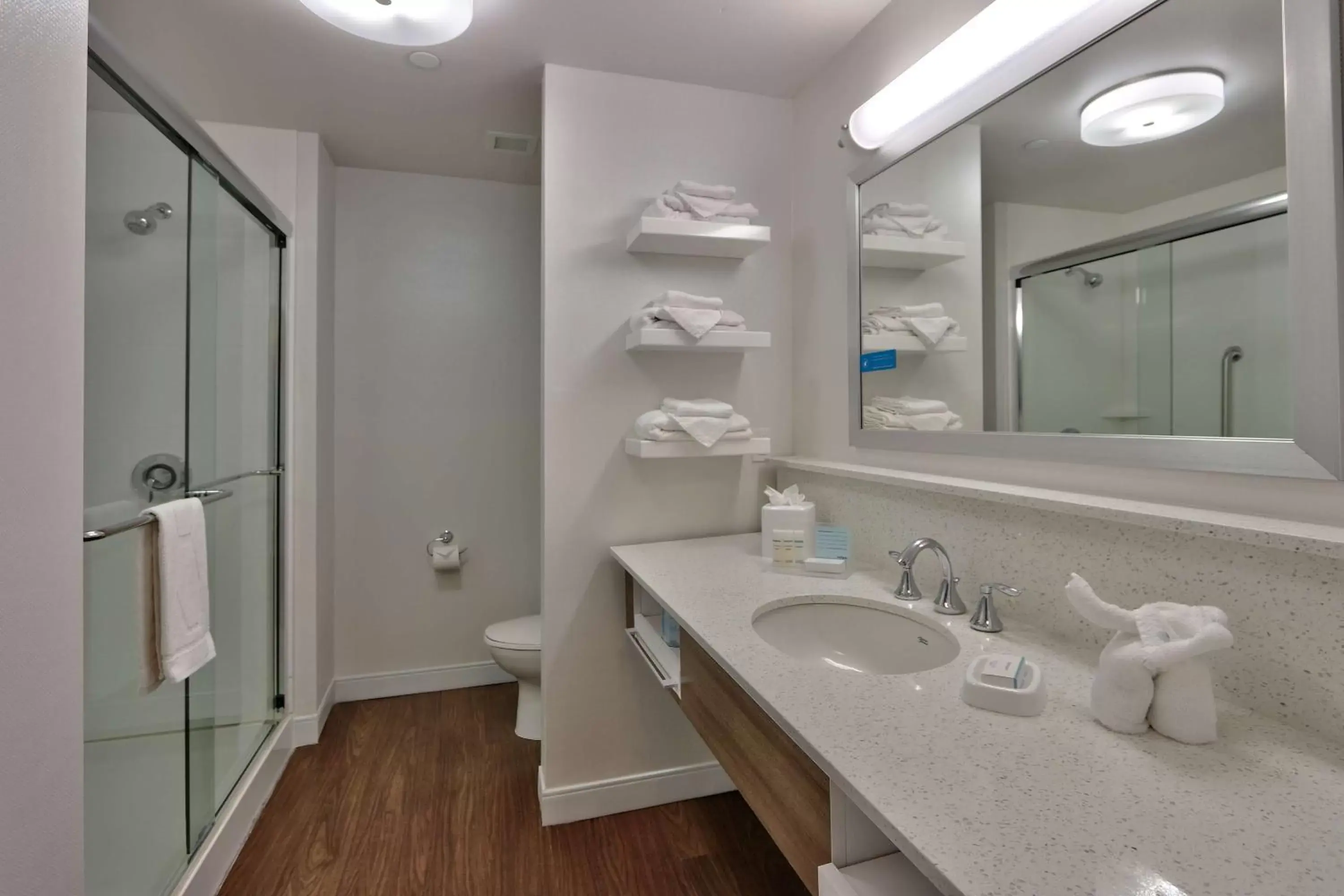 Bathroom in Hampton Inn & Suites Las Cruces I-10, Nm