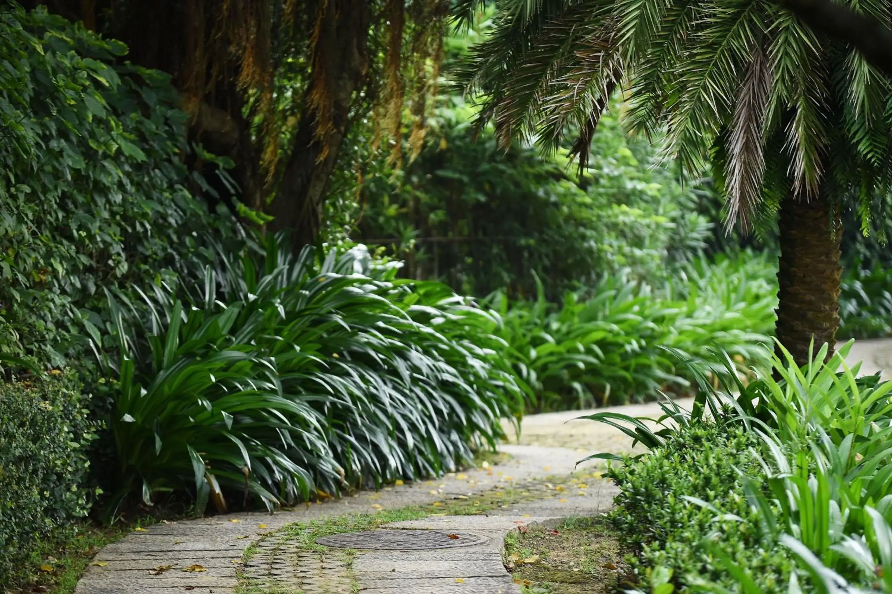 Garden in Fullon Hotel Fulong